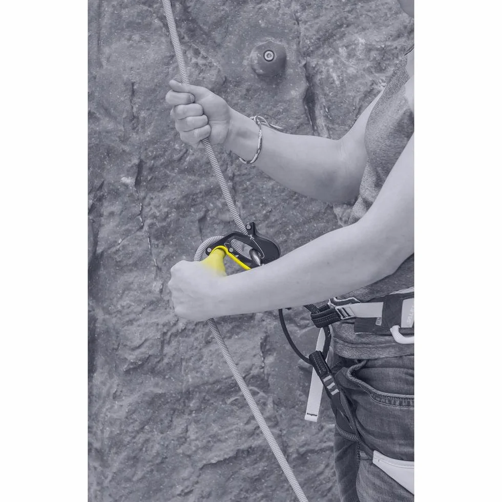 SALEWA Ergo Belay System Dispositivo de Aseguramiento Unisex Adulto
