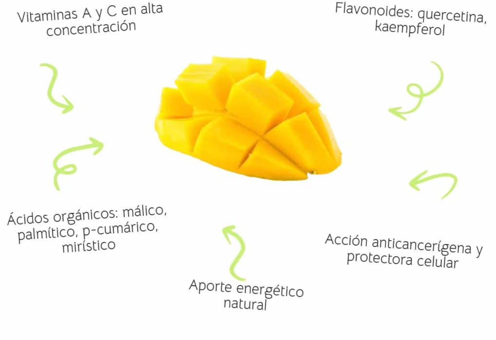 Mango fruta Pack 2kg - Mangos de España - Costa Tropical de Granada