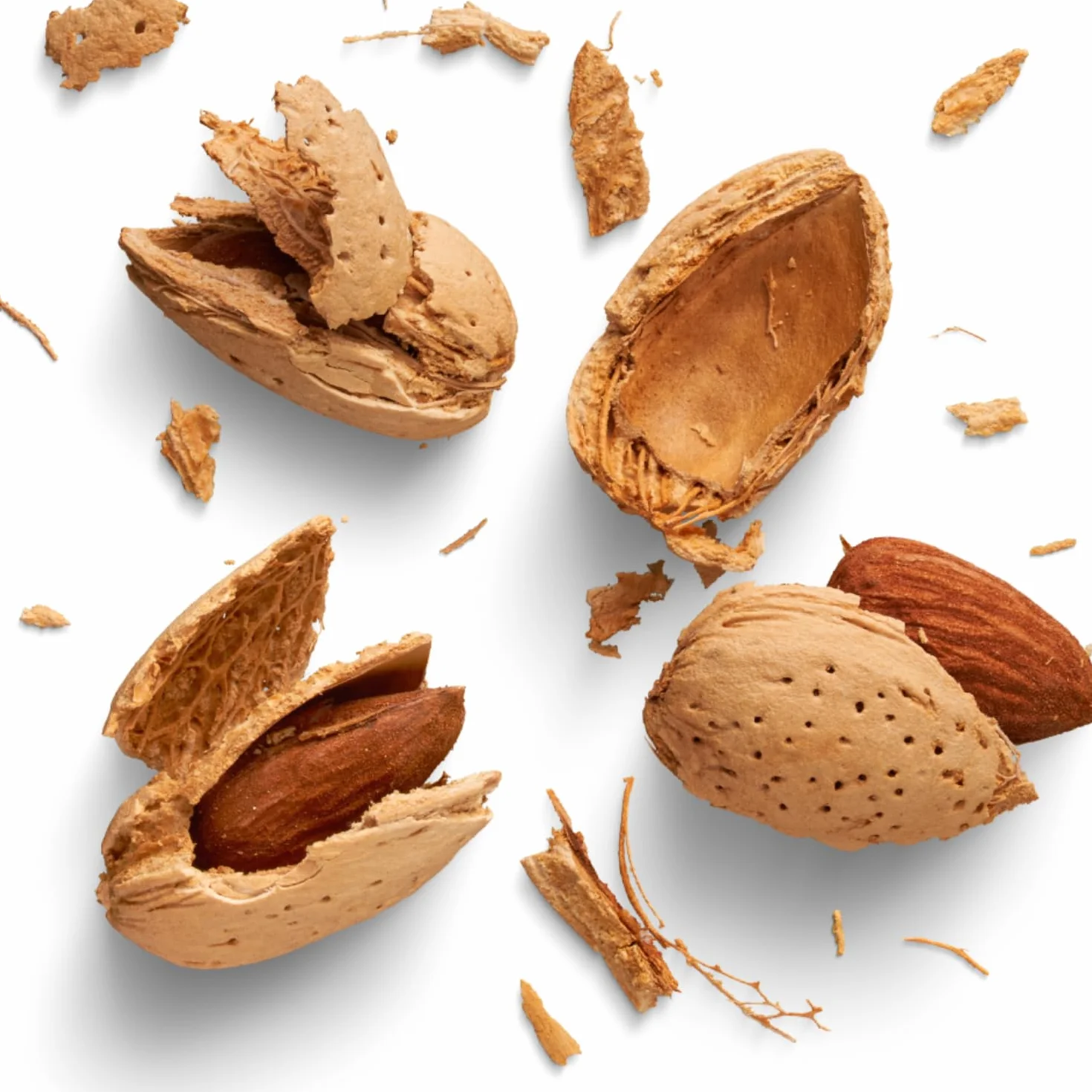 nut&me Almendras Tostadas con Cáscara 1 kg | Almendruco | 100% Naturales | Fuente de proteínas | Alto contenido en fibra | Sin gluten | Pack 2 x 500gr