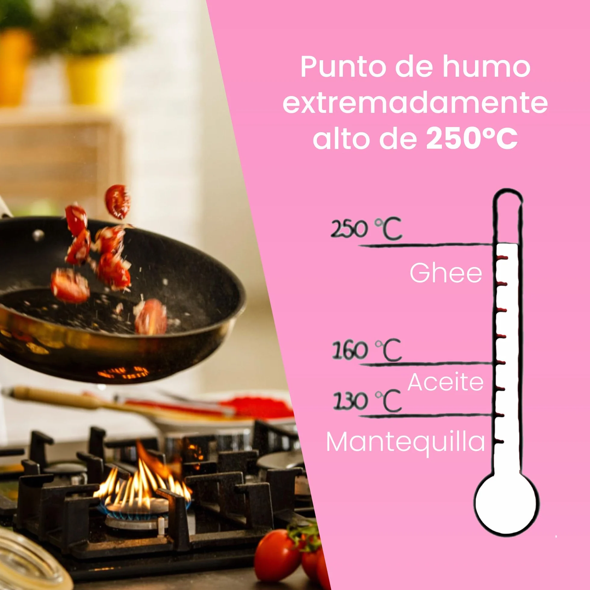 Ghee Easy Bio Ghee y Coco Mezcla 500g - 50% Ghee y 50% Aceite de Coco Extra Virgen - 100% Orgánico y Biológico - Sin Lactosa y Sin Gluten