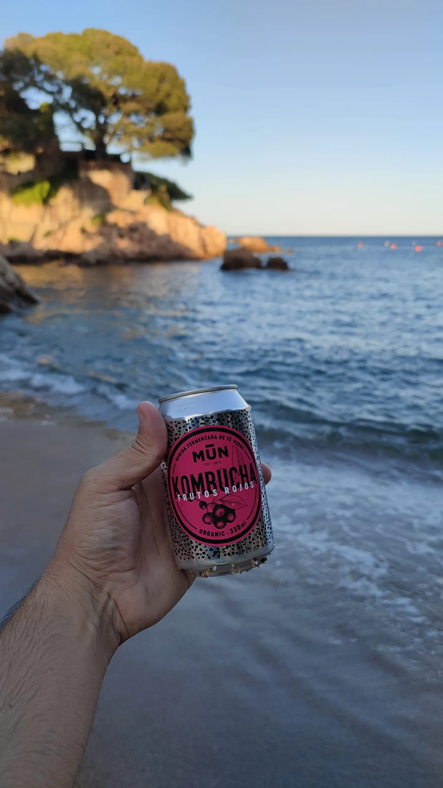 Mūn Ferments Té Kombucha Pack 12x330ml - Bebida Ecológica Con Probióticos - Té Kombucha Jengibre Y Limón-Sin Azúcar Y Baja En Calorías-Latas Libres De BPA-Infusión Fermentada Artesanal-Libre De Gluten