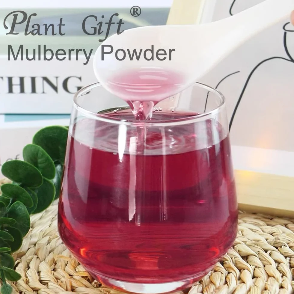 Plant Gift 100% Pure Mulberry Powder 桑葚粉 Polvo dietético natural, excelente sabor para bebidas, batidos y bebidas, polvo no GM - sin relleno, sin aditivos, yogur y más 100g / 3.25o