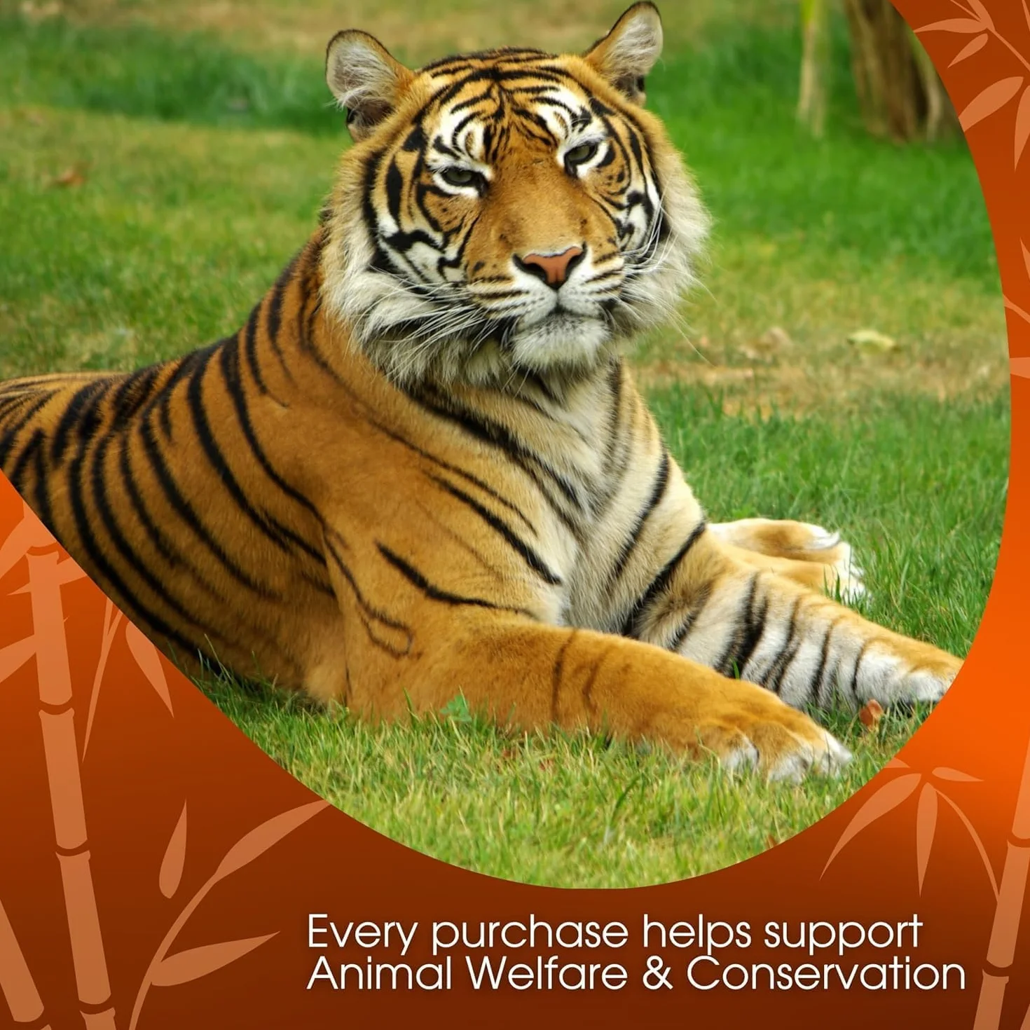 David Rio Tiger Spice Chai Tea, 4lb. (1814g) bolsa by David Rio