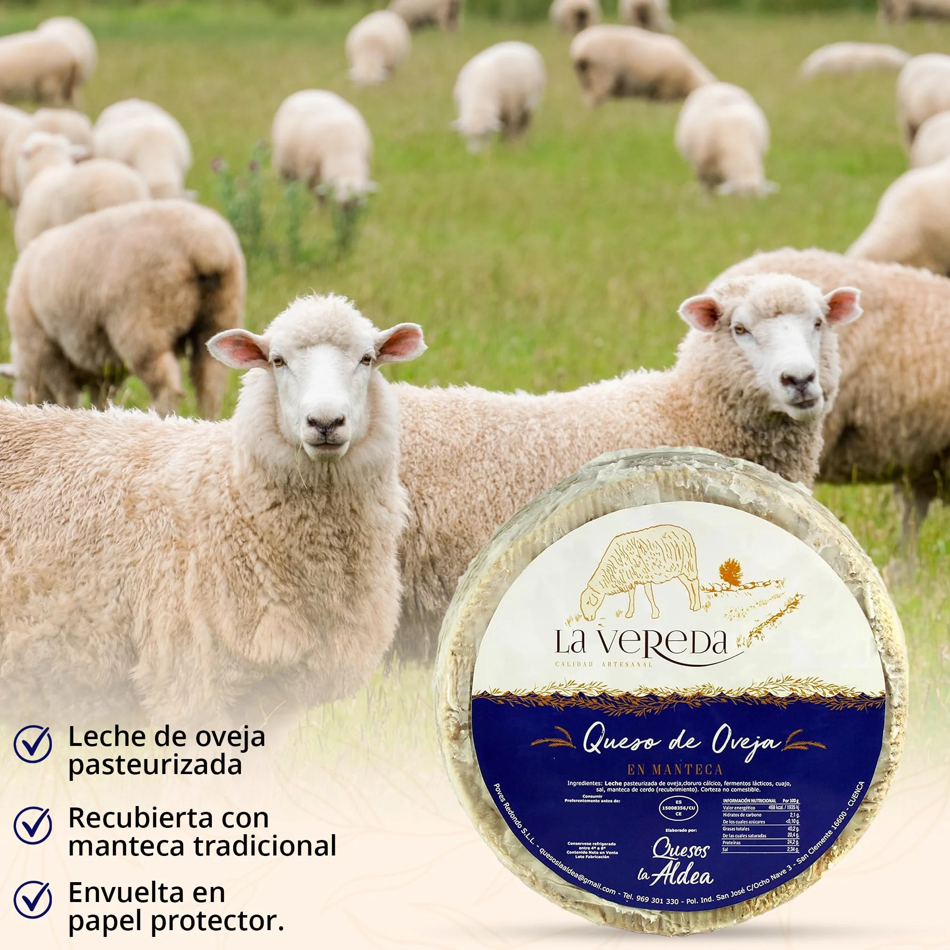 Queso Artesano de Oveja en Manteca de Cerdo 3 kg Curado Mínimo 6 Meses