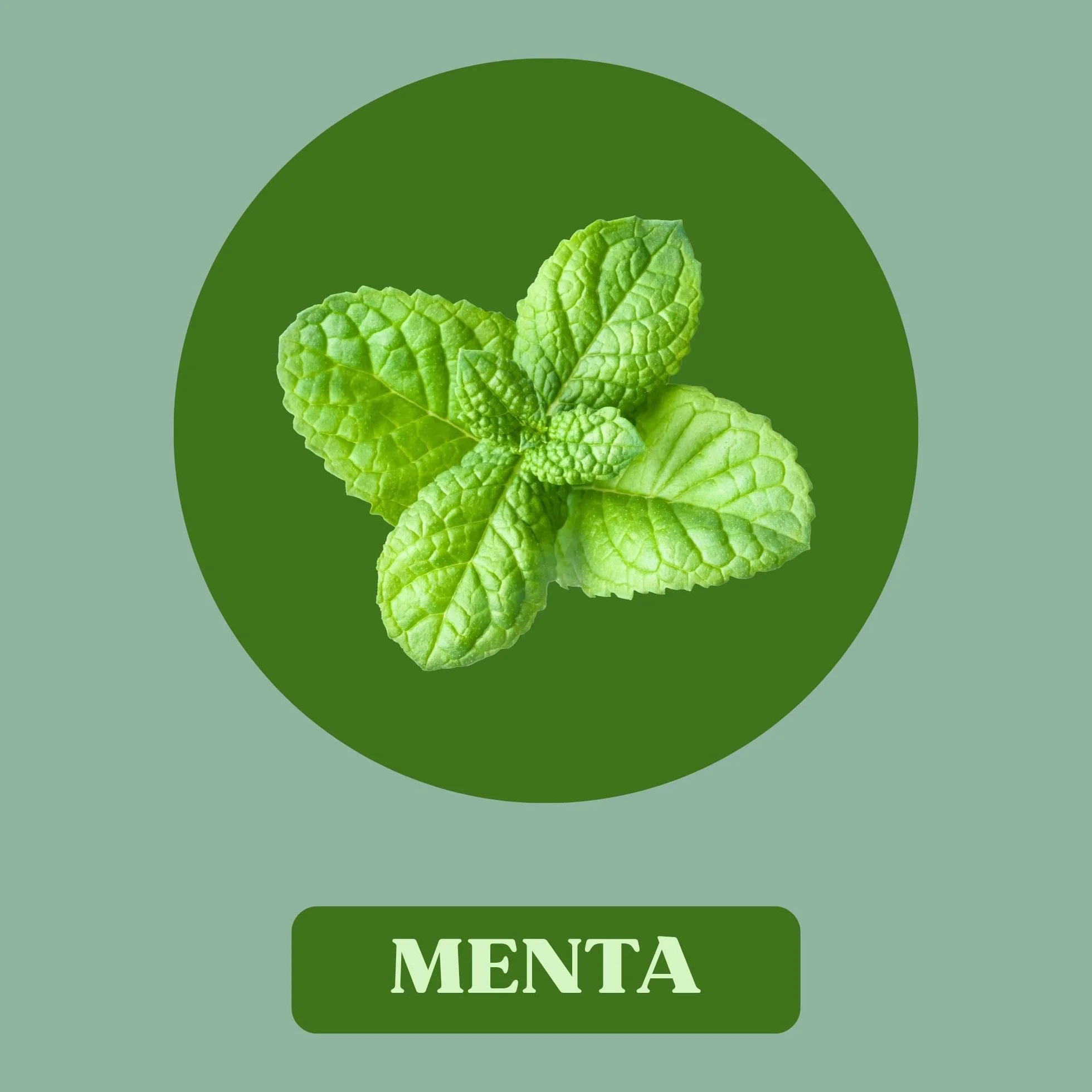 Juanola Perlas Sabor Menta - Sin azúcar, sin gluten - Cómodo formato de bolsillo - Ideal para llevar contigo a todas partes - Refrescan tu boca y tu garganta - 25g