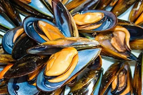 Hoya Santoña Mejillones en Escabeche - Pack 5 latas de 112g/8-12 piezas (560g/40-60 piezas). Conserva Gourmet de mejillones en escabeche medianos de Galicia.