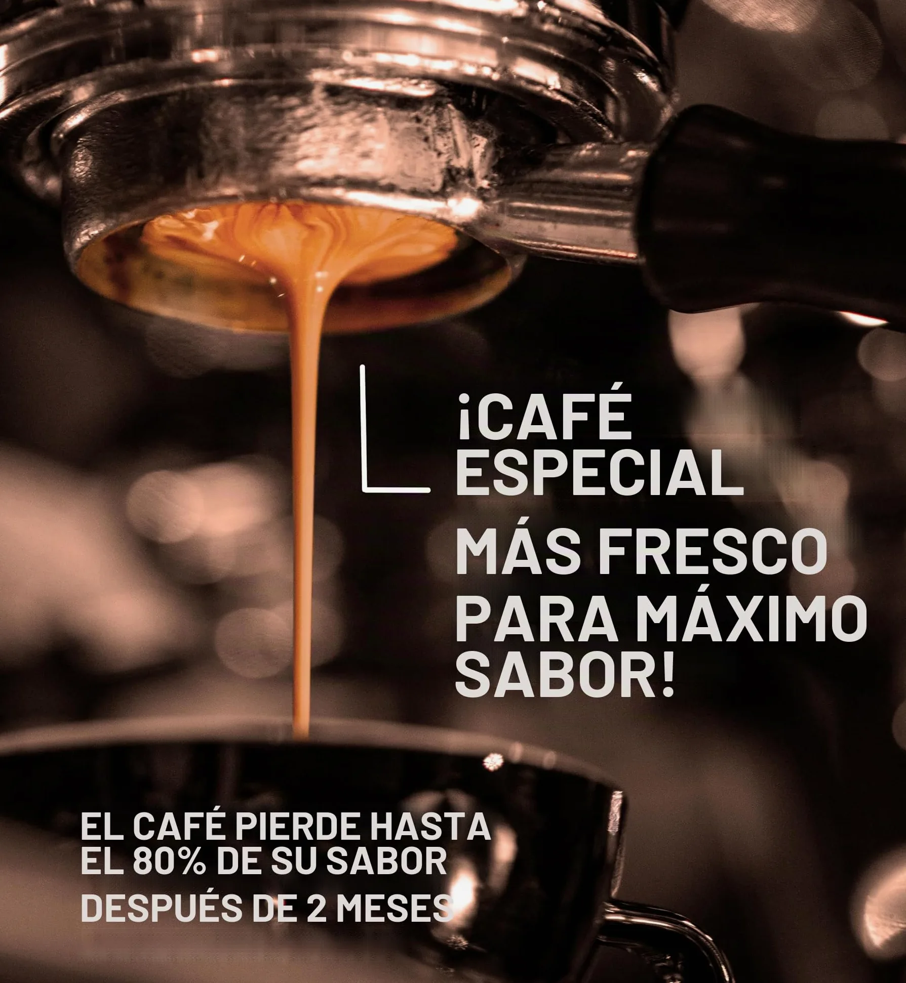 Freshest Specialty Coffee Beans | 80 CUP Roastery | Single Origin ~ Roasted After Order (1000g, Ethiopia Yirgacheffe)