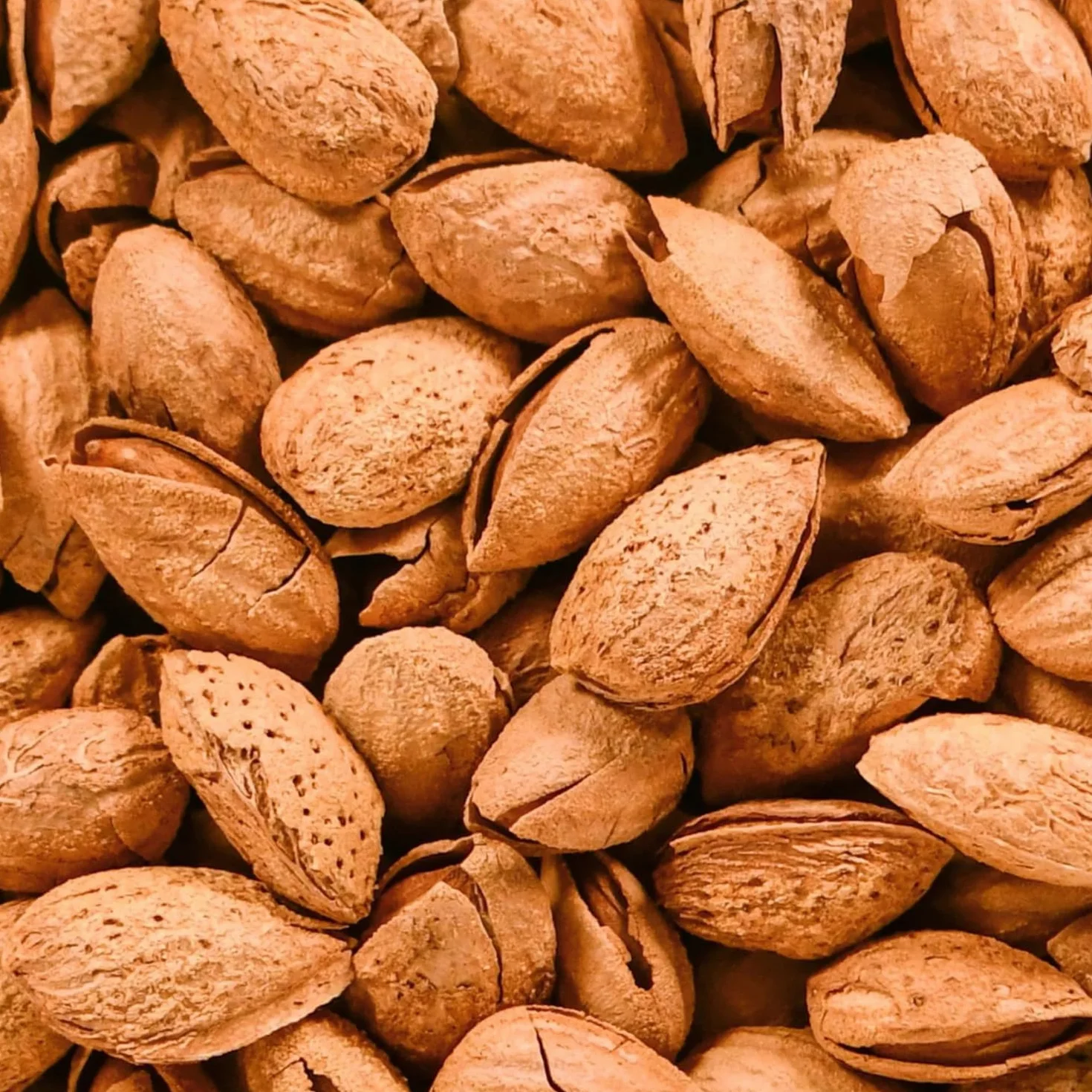 nut&me Almendras Tostadas con Cáscara 1 kg | Almendruco | 100% Naturales | Fuente de proteínas | Alto contenido en fibra | Sin gluten | Pack 2 x 500gr