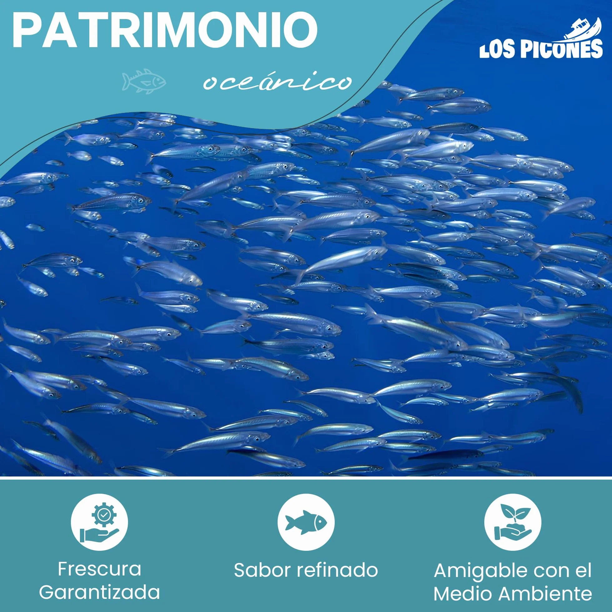 Anchoas Revilla® Anchoas de Santoña en Mantequilla Ecológica I Pack 5 Octavillas (50gr./8-10 lomos) (250gr./40-50 lomos) Anchoas del Cantábrico Gourmet I Conservas y Salazones Gourmet.