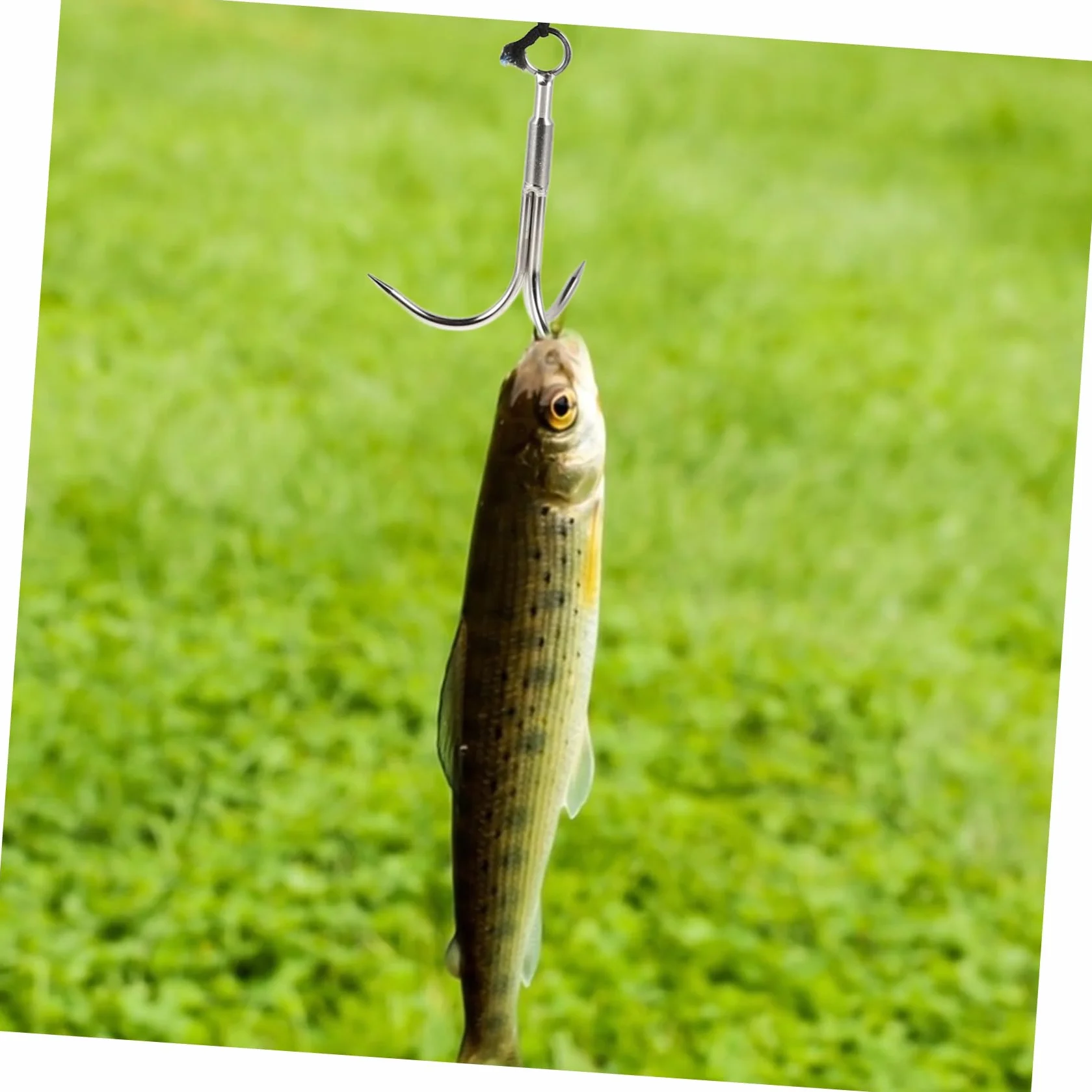 Gancho de Agarre de Tres Puntas de Acero Inoxidable con Cuerda de 10 Metros para Pesca, Escalada y Rescate