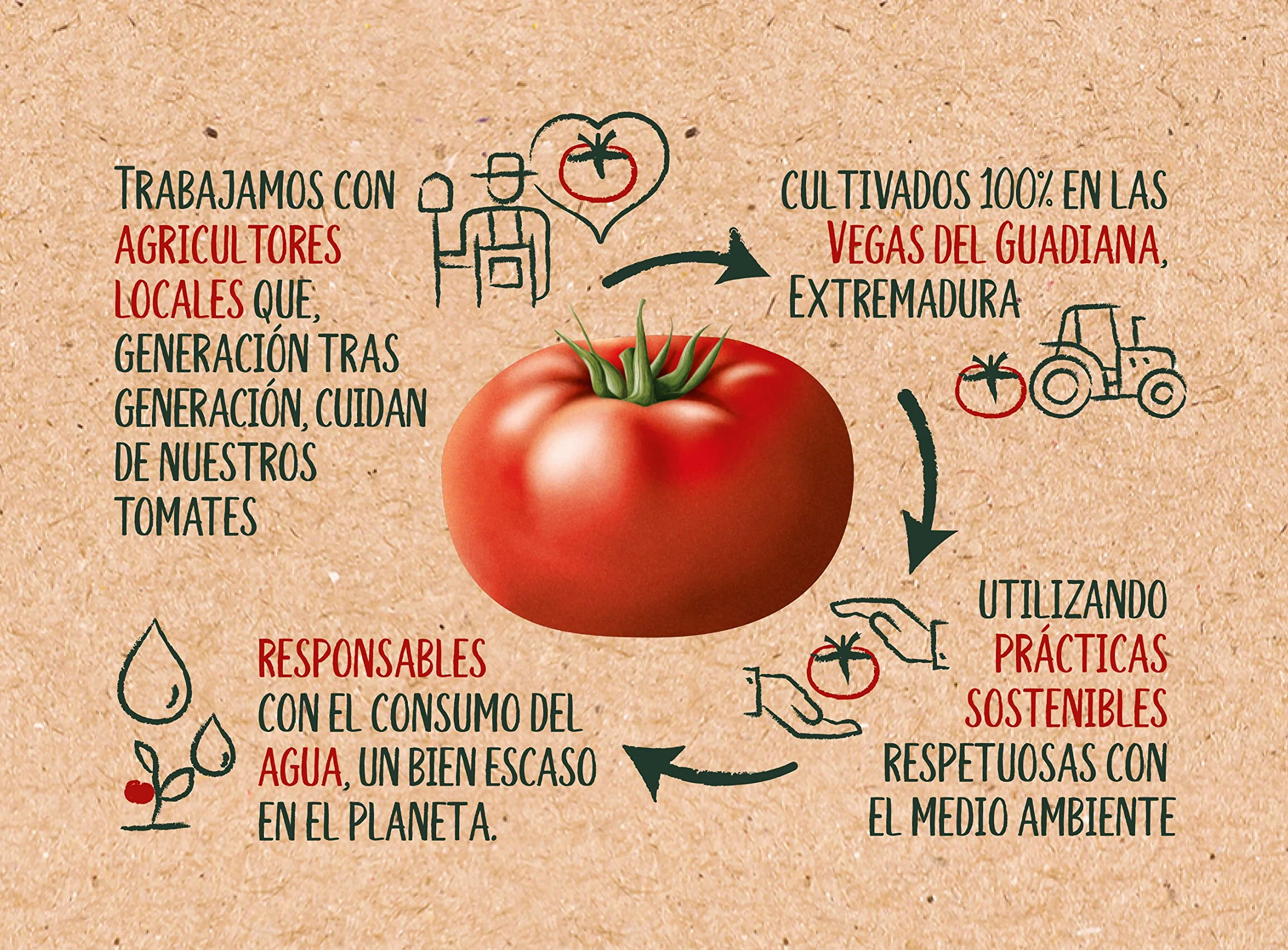 SOLÍS Tomate Frito Clásico Bipack Frasco Cristal - Sin Gluten - 2 x 460g