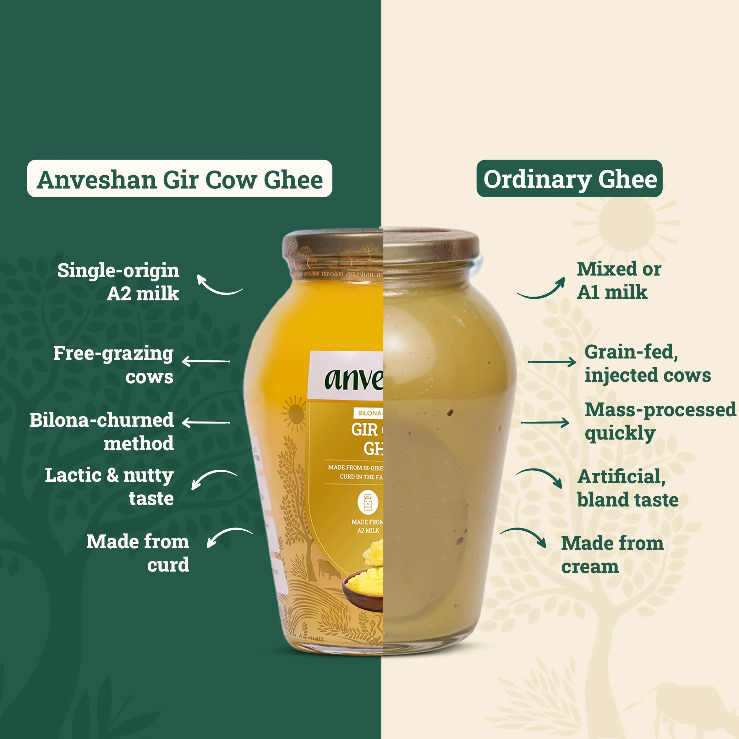 Anveshan Método Ghee Bilona de vaca Gir A2, 1 litro, método tradicional Bilona, cultivado, potenciador de inmunidad, puro, natural, saludable, fresco, sin lactosa y sin gluten