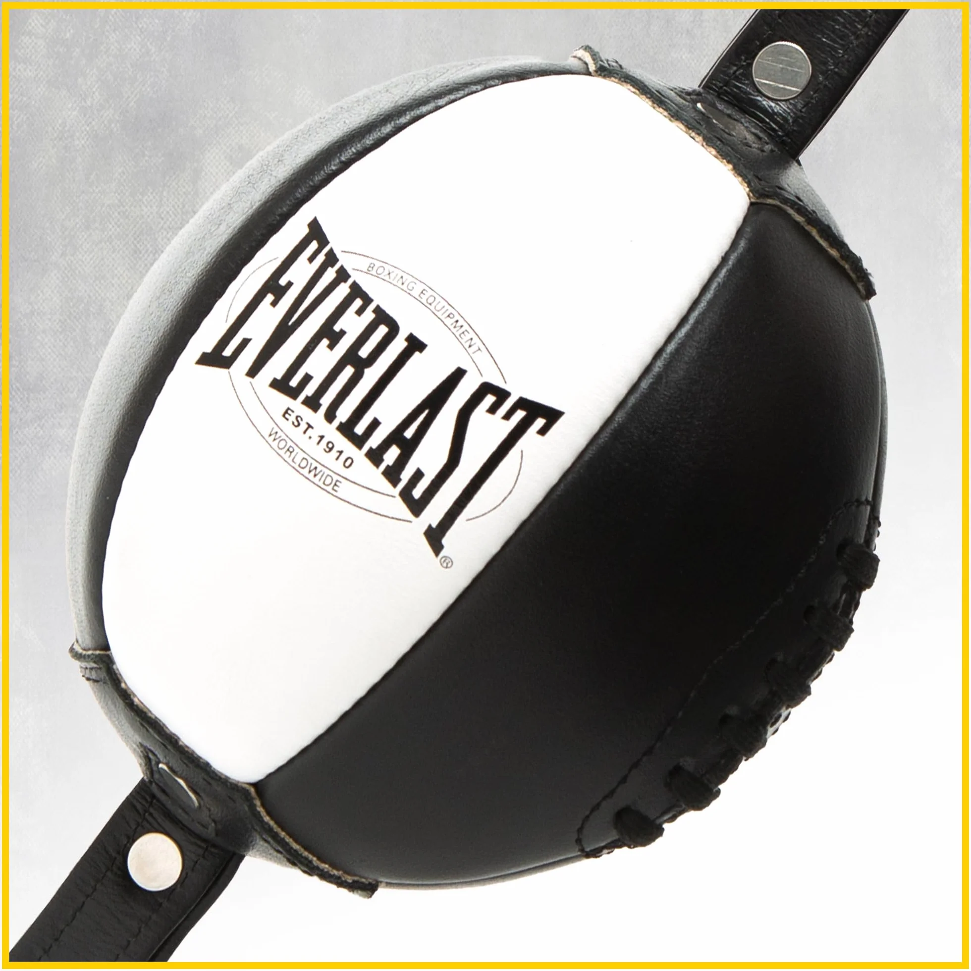 Everlast 1910 Double End Speed Bag Punching