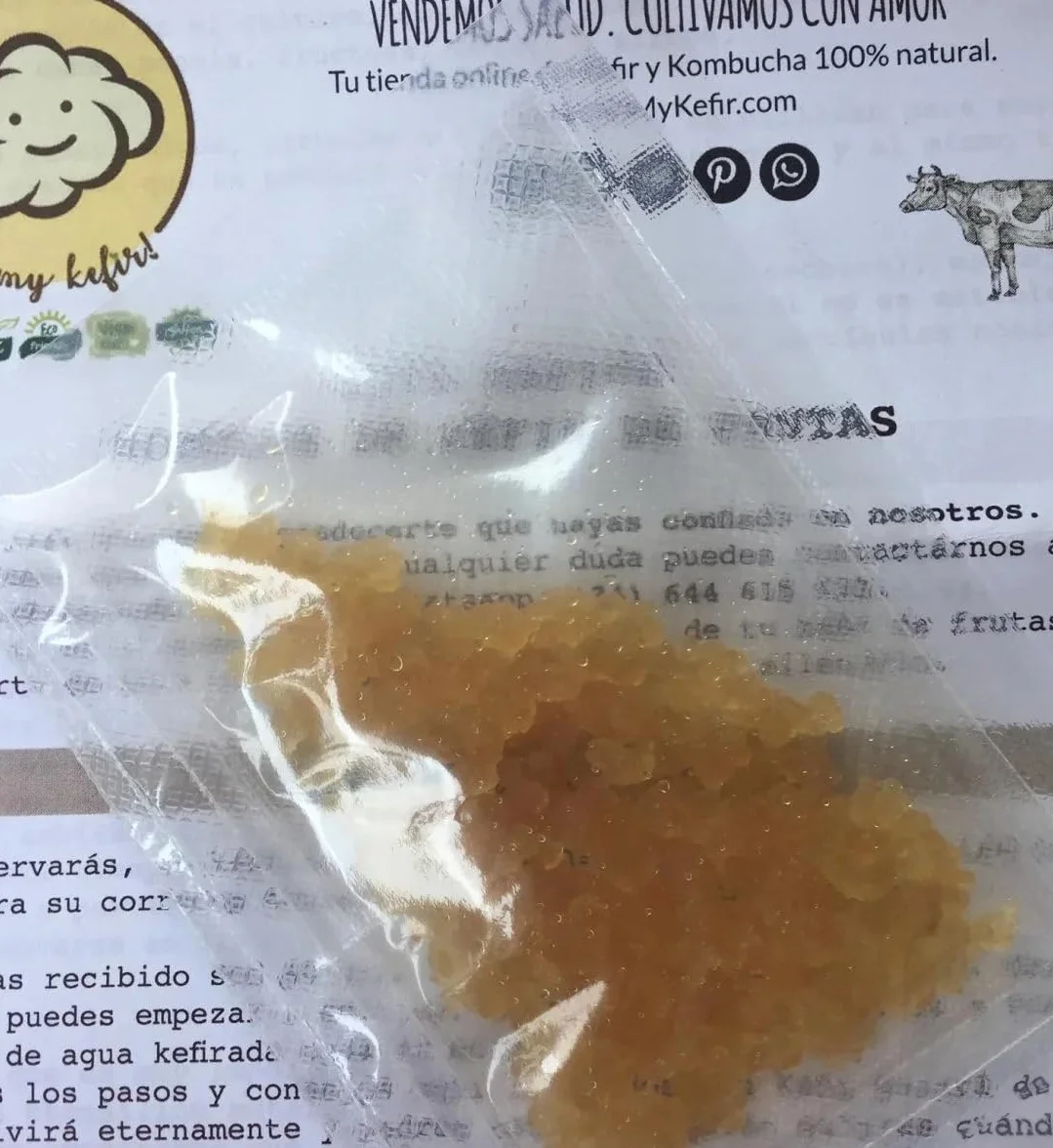 Hongo Kéfir de Frutas Frescos 100g OH MY KÉFIR® Instrucciones Recetas