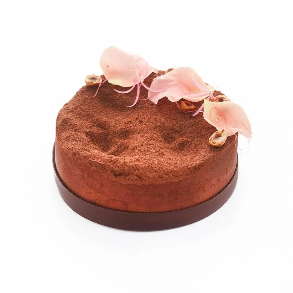 Callebaut Signature Collection Botanical Décor Cacao en polvo alcalizado 20-22% grasa hidrofóbico 1 kg