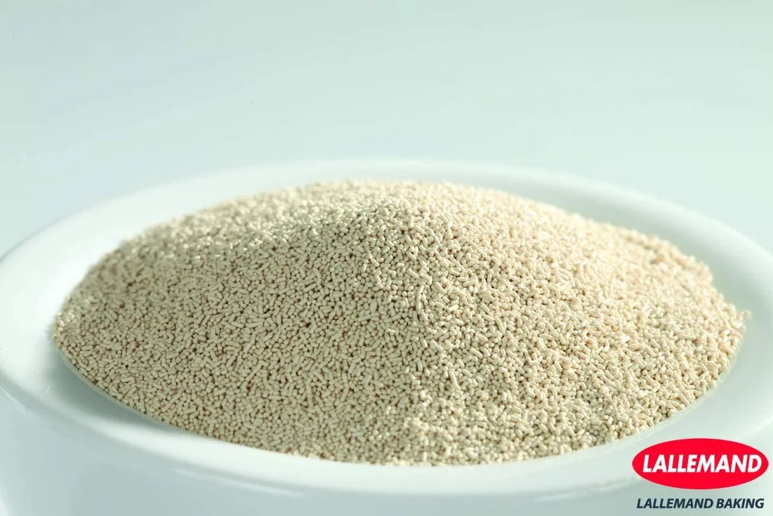 Levadura seca de panadero Lallemand - 500 gramos de Levadura de Panadería en polvo - Vegana y sin soja - Para masa de Pan, Bollos, y Pizza
