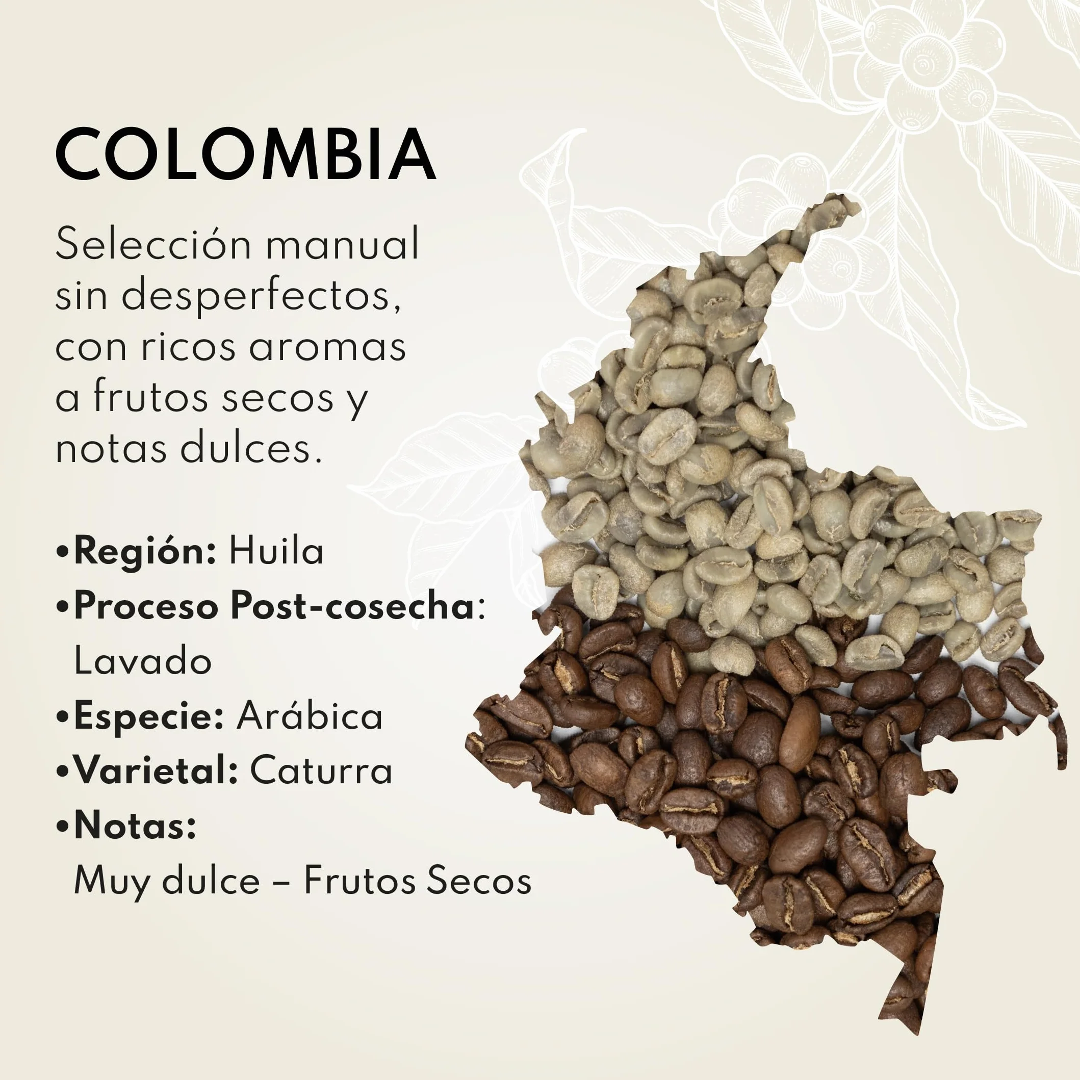 Café de Especialidad en Grano Natural 1kg de Colombia. Tueste Medio Artesano. Proceso Lavado. Café Grano Arábica para Espresso, V60 y Chemex. Boconó Specialty Coffee Beans. Colombiano