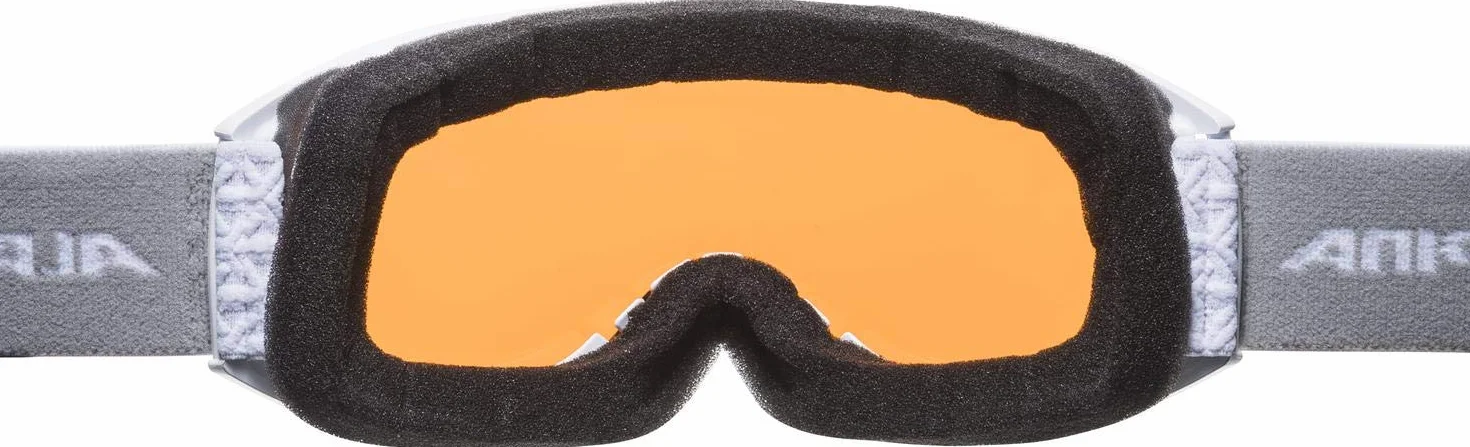 ALPINA Nakiska Dh Gafas de esquí Unisex adulto