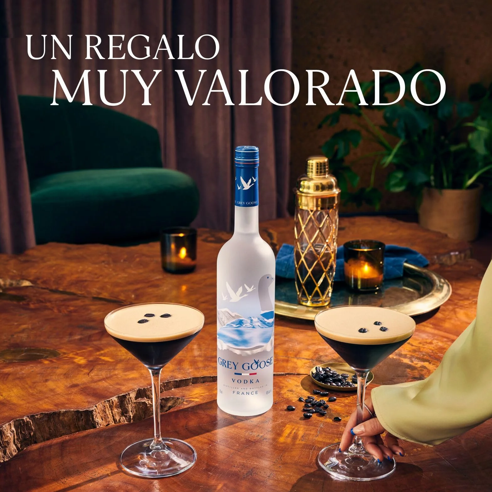 GREY GOOSE vodka premium francés 40% ALC. 1 l