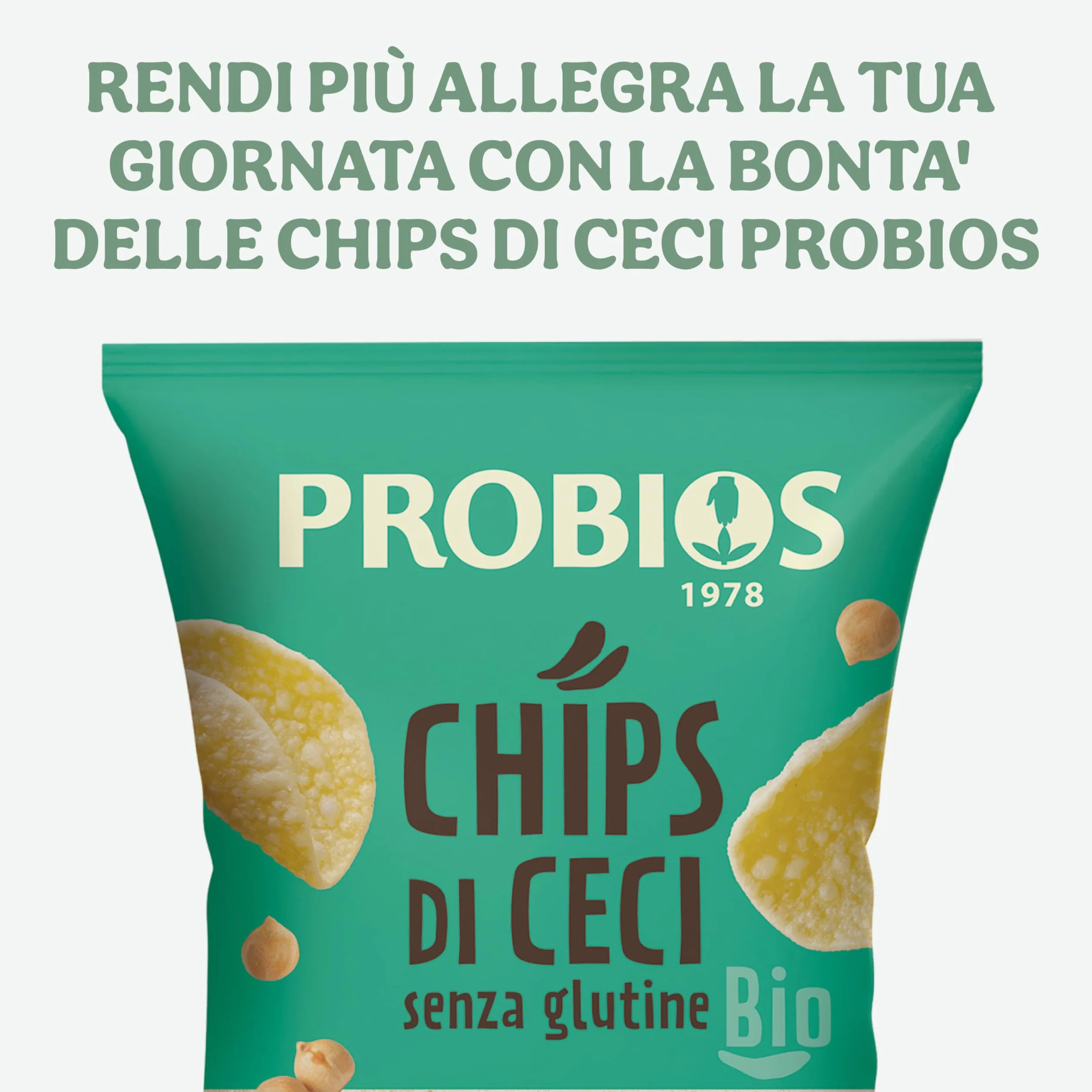 Probios Chips con garbanzos bio embalaje 12 x 40g