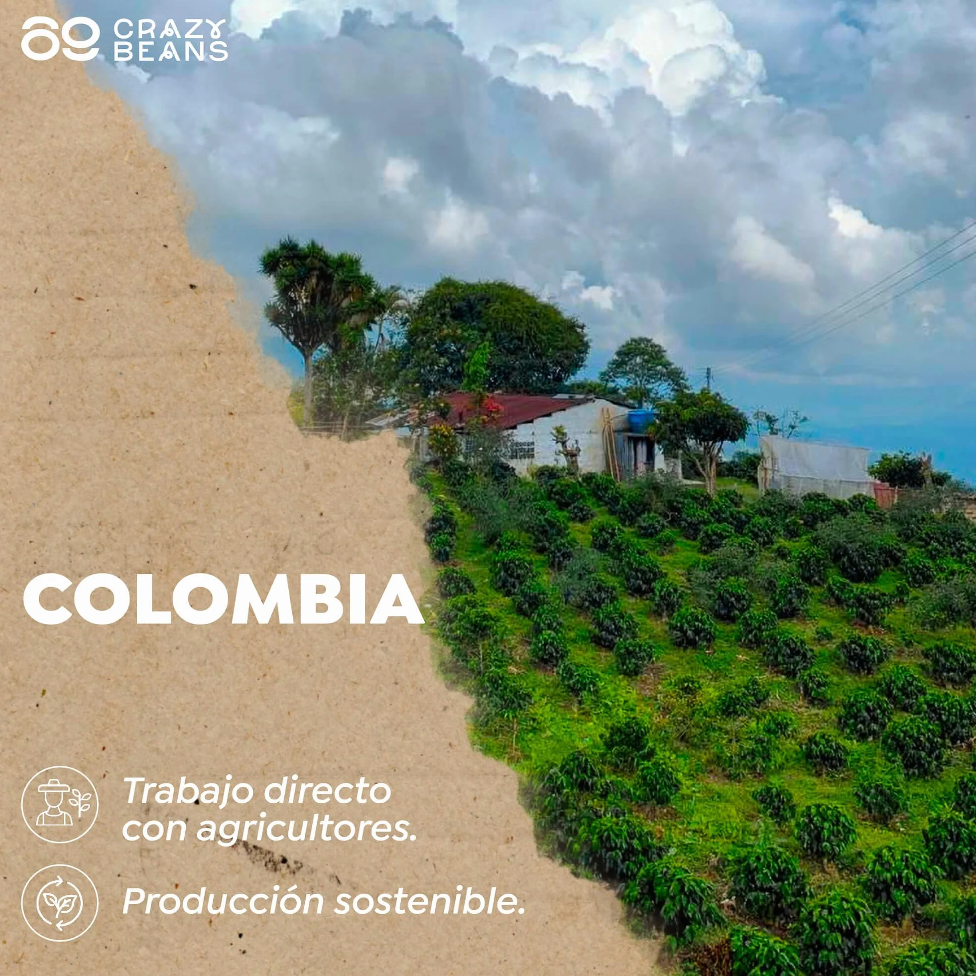 Cafe de Especialidad en grano Italian Blend | 80% Arábica / 20% Robusta | Colombia & India | Perfil Intenso con Notas de Chocolate Negro, Especias y Malta Tostada | Specialty coffee | 500g