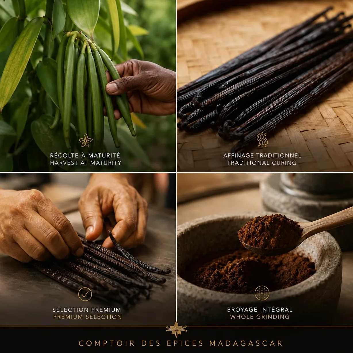 Comptoir Des Epices Madagascar Vainilla - Polvo de vainilla Bourbon (150 g) - vaina de vainilla pura molida - para café - Pastelería - Desertos - Cocina - Infusion (empresa francesa)