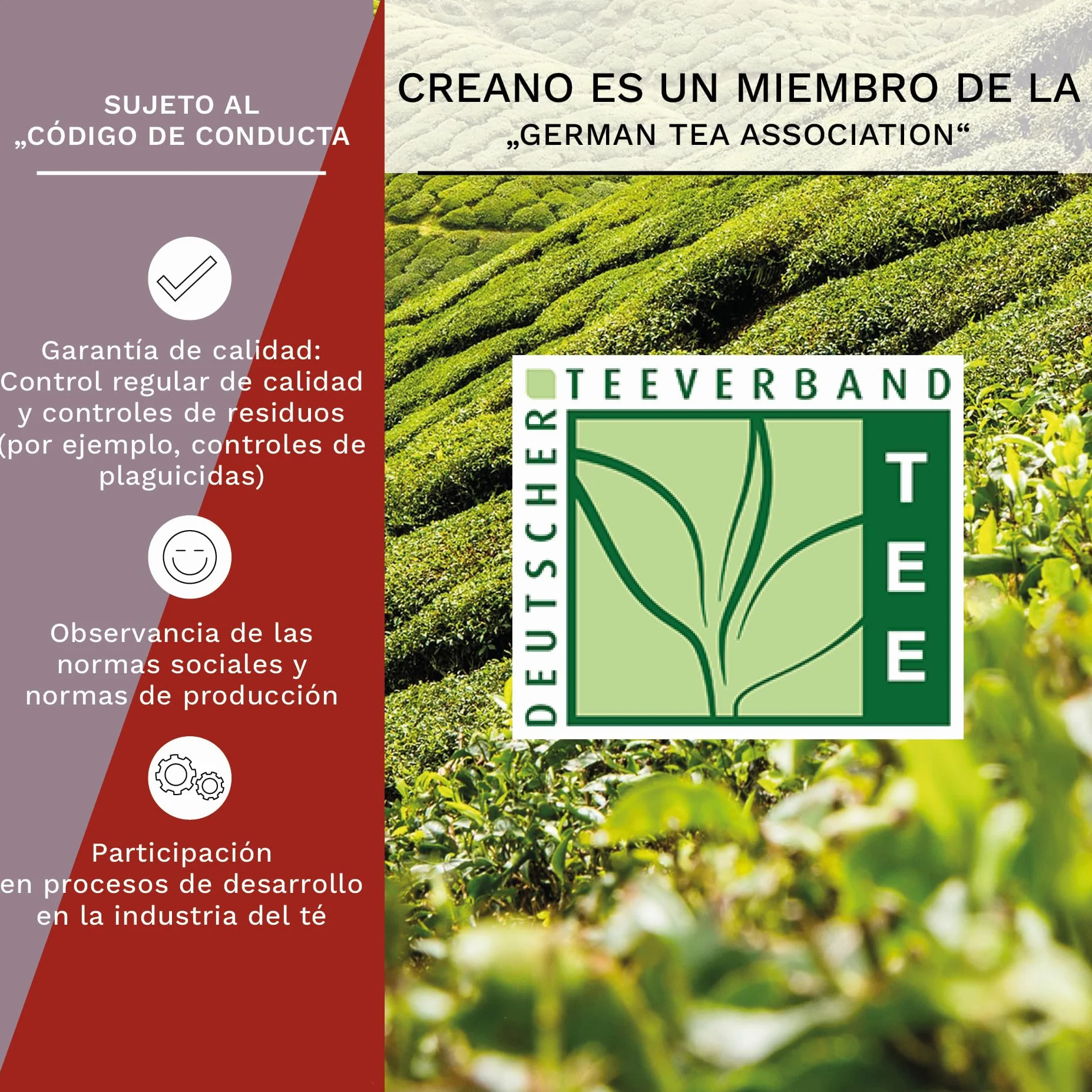 Creano Flores de Té Mix 12 uds Cofre de Madera 9 Variedades Té Blanco y Negro Regalo Sostenible Elegante para Mujer