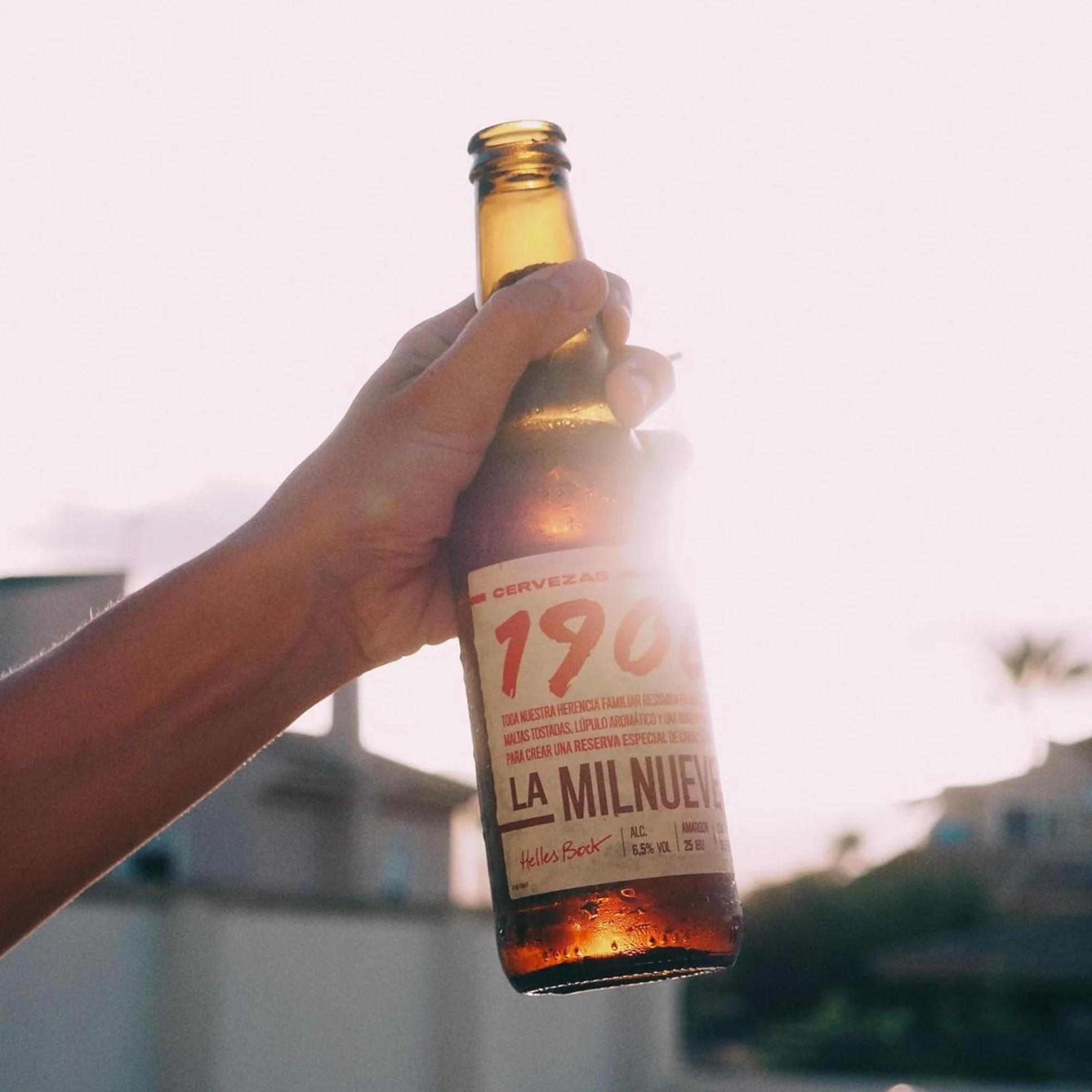 1906 Reserva Especial - Cerveza Lager Extra, Pack de 24 Botellas x 33 cl, Sabor Amargo y Aroma Tostado, Galardonada Internacionalmente, 6,5% Volumen de Alcohol