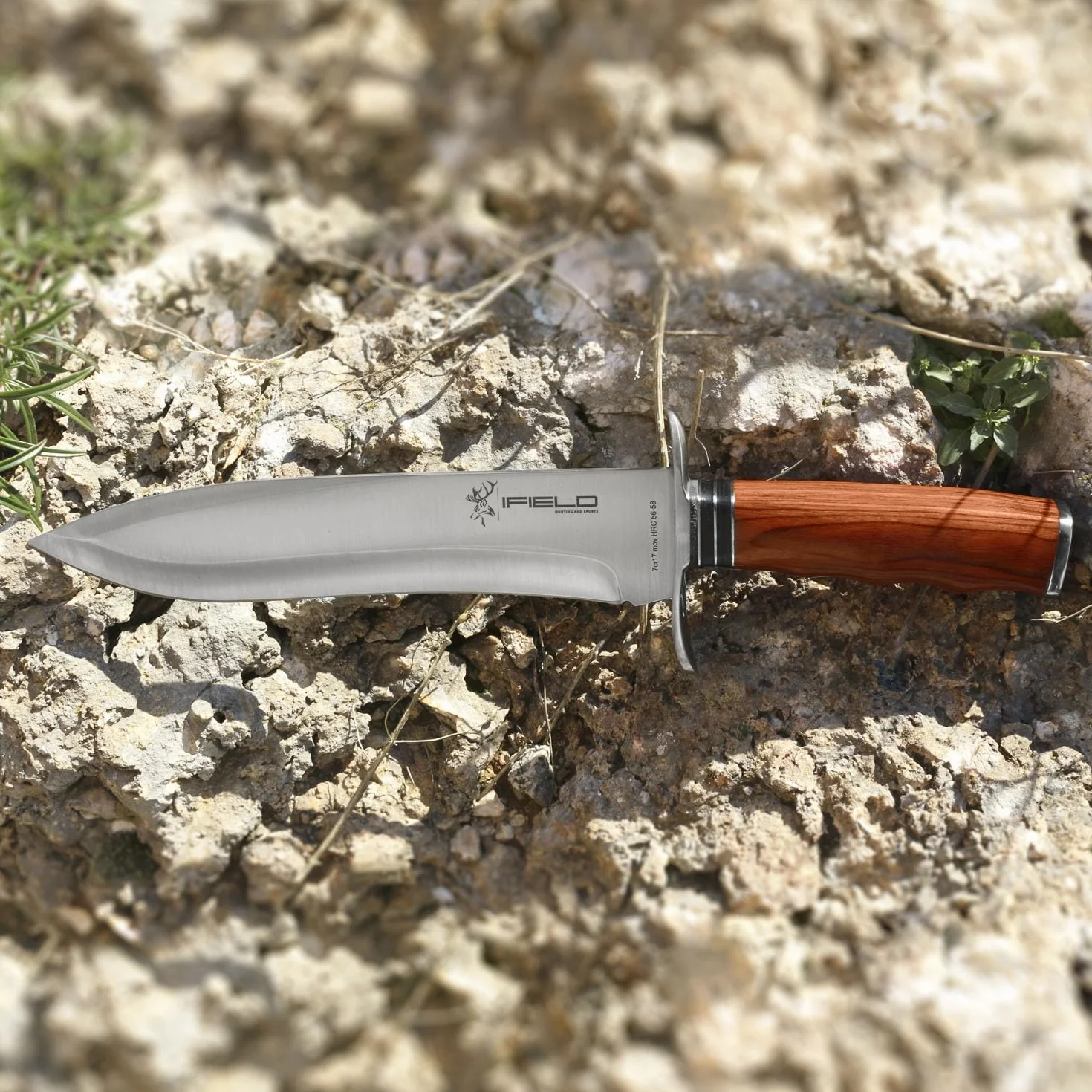 iFIELD Camper Cuchillo de caza deportivo EL29011, mango Stamina, 37 cm, hoja 23,5 cm, virola acero, funda piel marrón