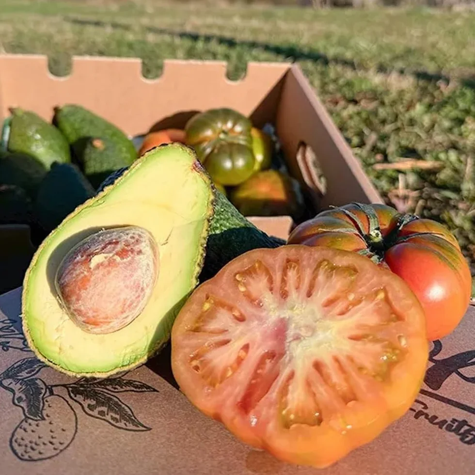 Caja de aguacates hass y tomate raf | 2 kg de Aguacates Hass y 2 kg de Tomate Raf, frescos y naturales, cultivados en Castellón (España), sin químicos y enviados directamente del campo a tu casa