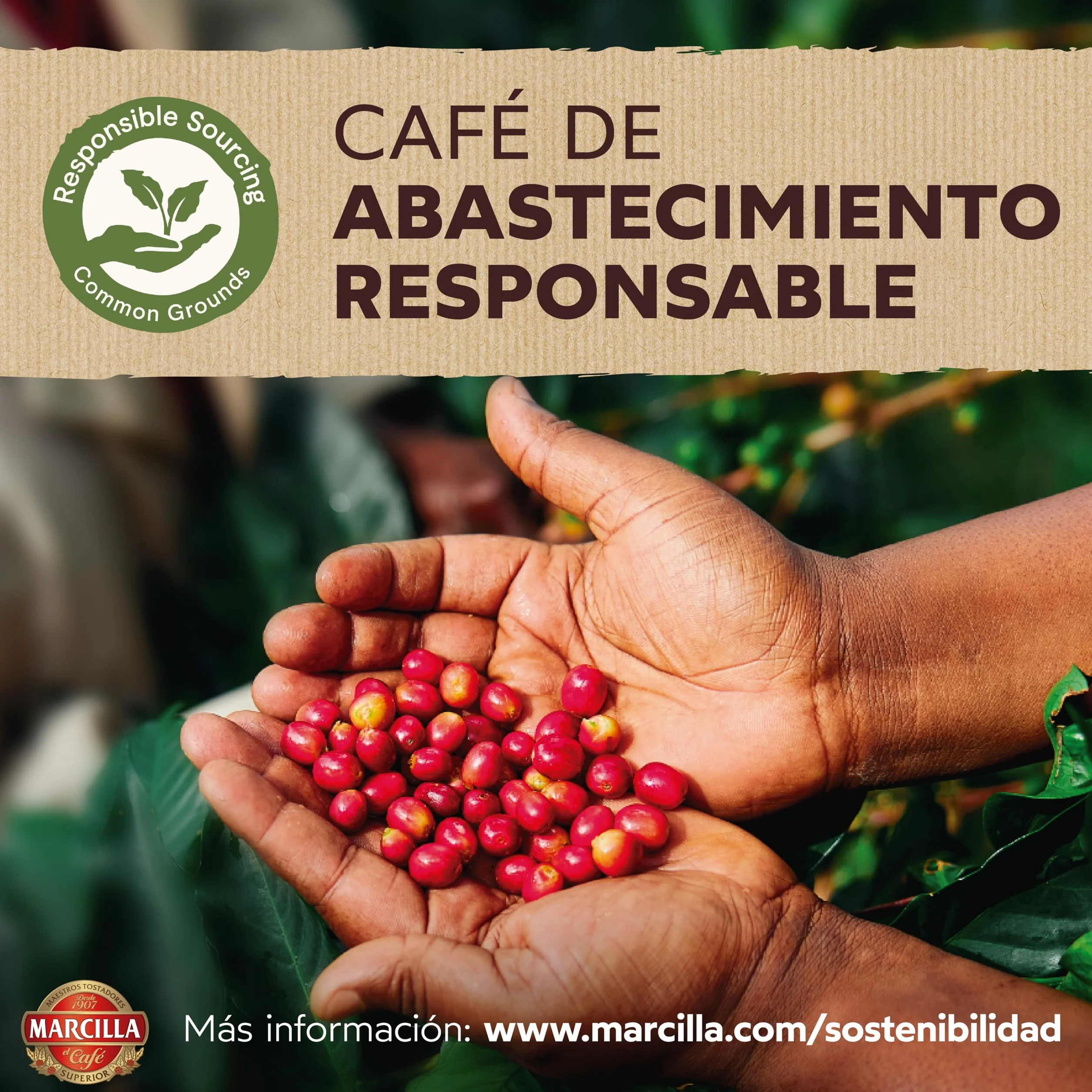 Marcilla Café Molido Mezcla |500 g | Para Cafetera Italiana, de Filtro o Pistón