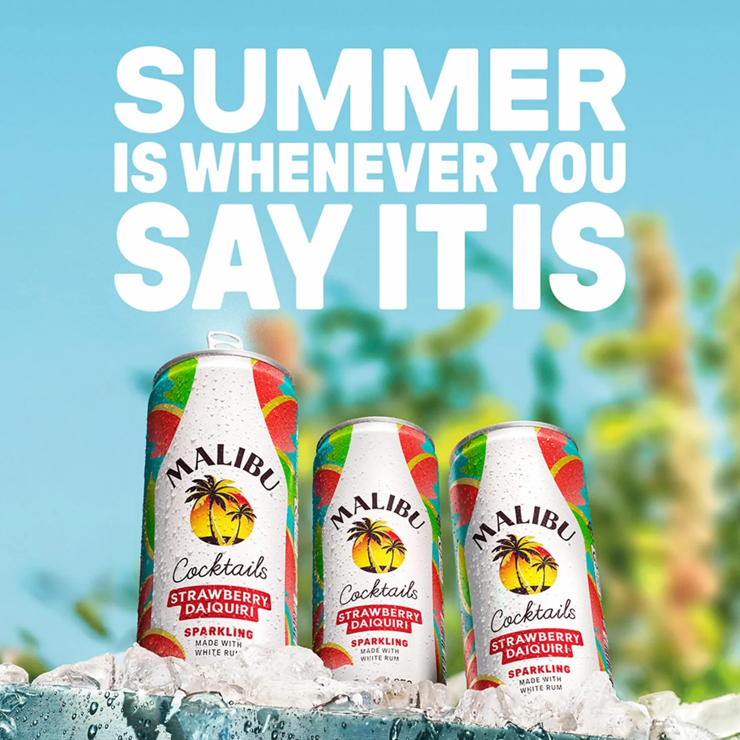 Malibú Daiquiri REDI Cóctel 12 unidades - 250 ml