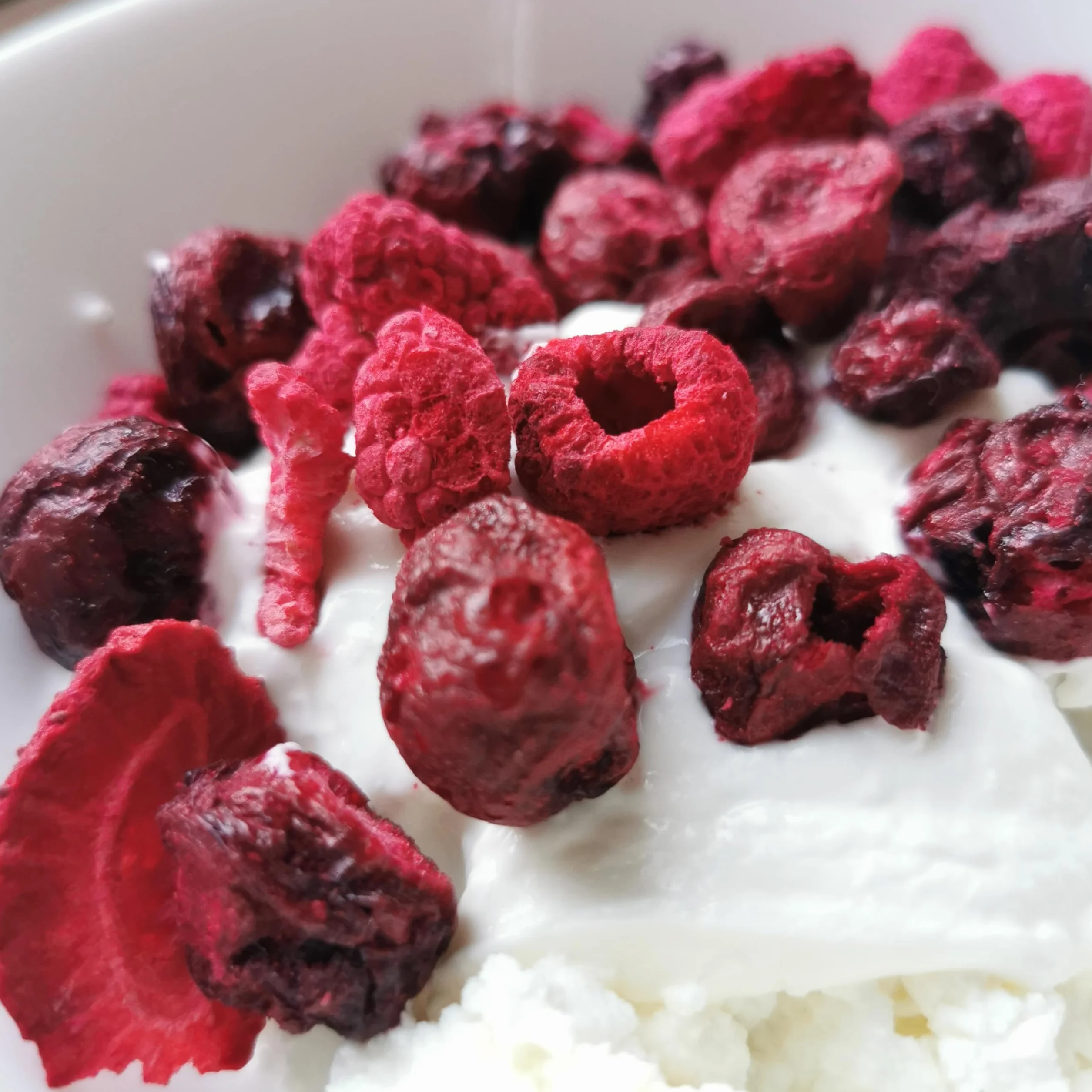Frutas Liofilizadas | XL 300g Mezcla Fresa Seca, Frambuesa, Cereza Agria | Fruta Seca Pura | Comida Liofilizada | Freeze Dried Fruit Strawberry Raspberry Cherry Mix | Fruta Roja de Verano ZingyZoo