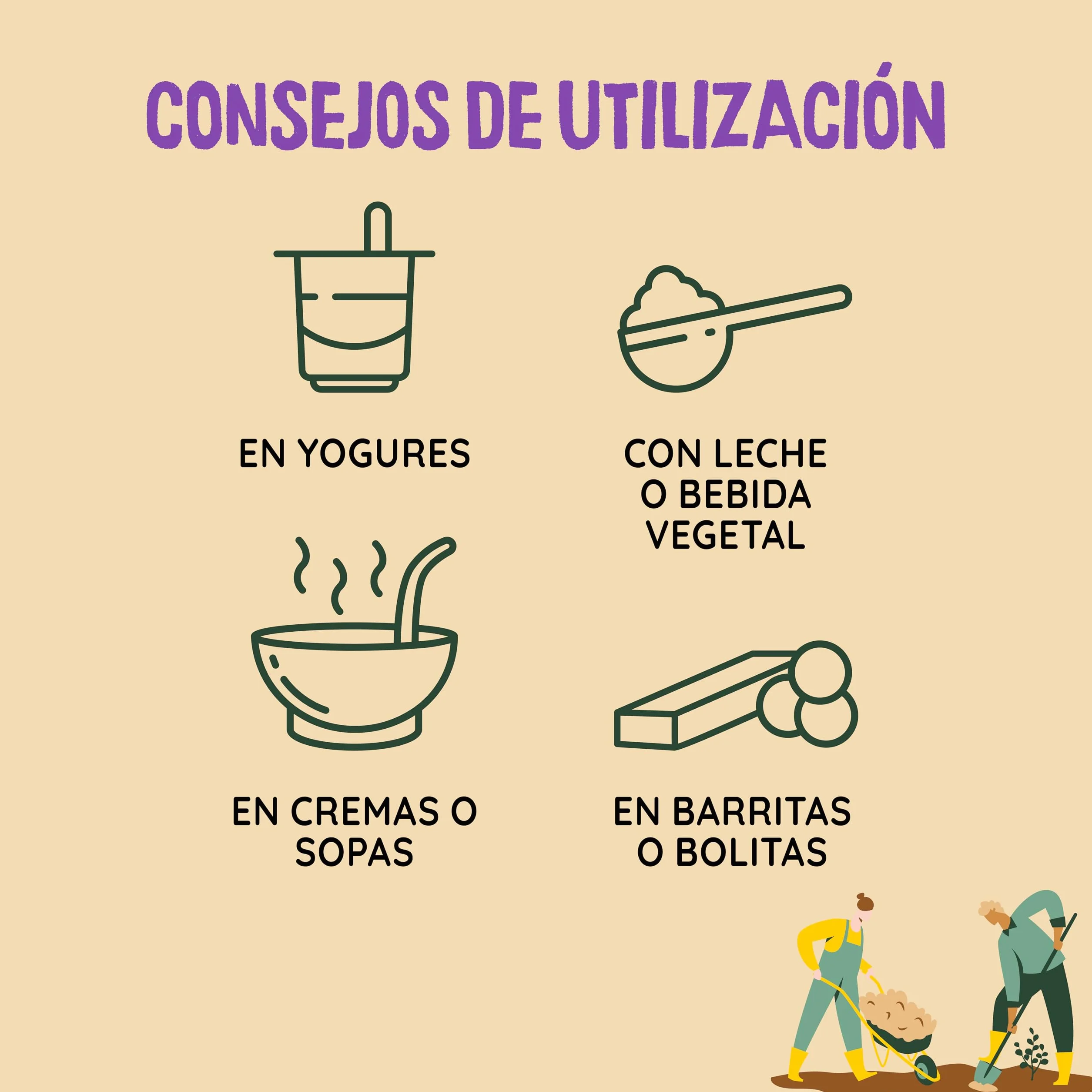 NATURCESTA ALIMENTACIÓN NATURAL - Pack de 12 Bolsas de Semillas Ecológicas de Lino de 400 g - Alto Contenido en Fibra, Omega 3, Vitamina E y Magnesio - Apto para Dieta Vegana y Paleo