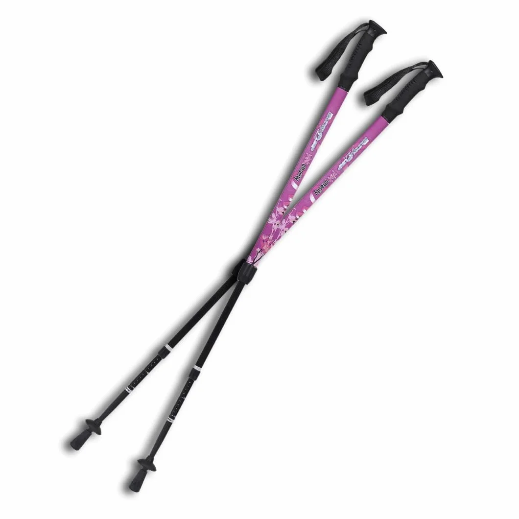 Bastones de marcha nórdica BungyPump Pink Charity 4 kg resistencia 3 piezas desmontables rosa