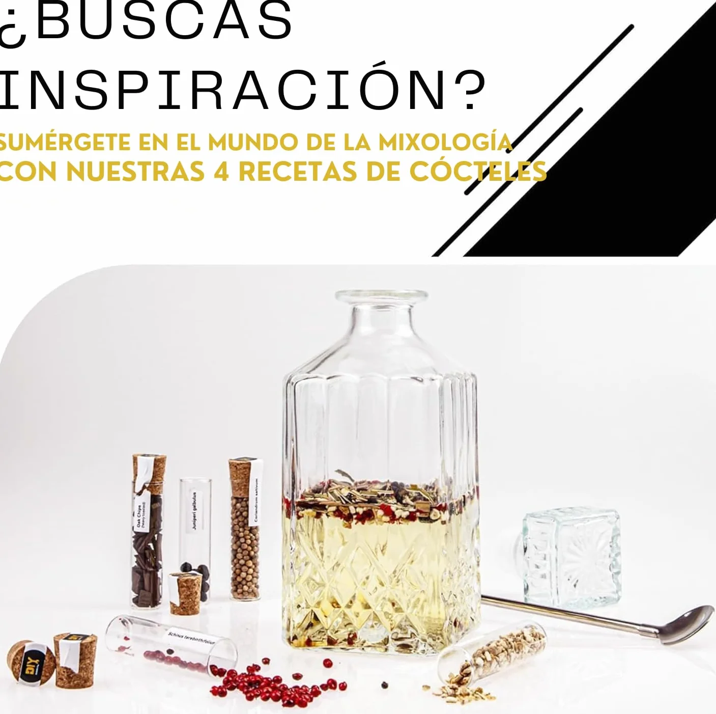 DIBYS Mini Ron Kit de Especias | 12 Botánicos para Infusión y Preparación de Cócteles | con 4 Recetas, Léxico y Elegante Caja | Set de Regalo para Hombres y Mujeres | Juego Hacer Ron en Casa