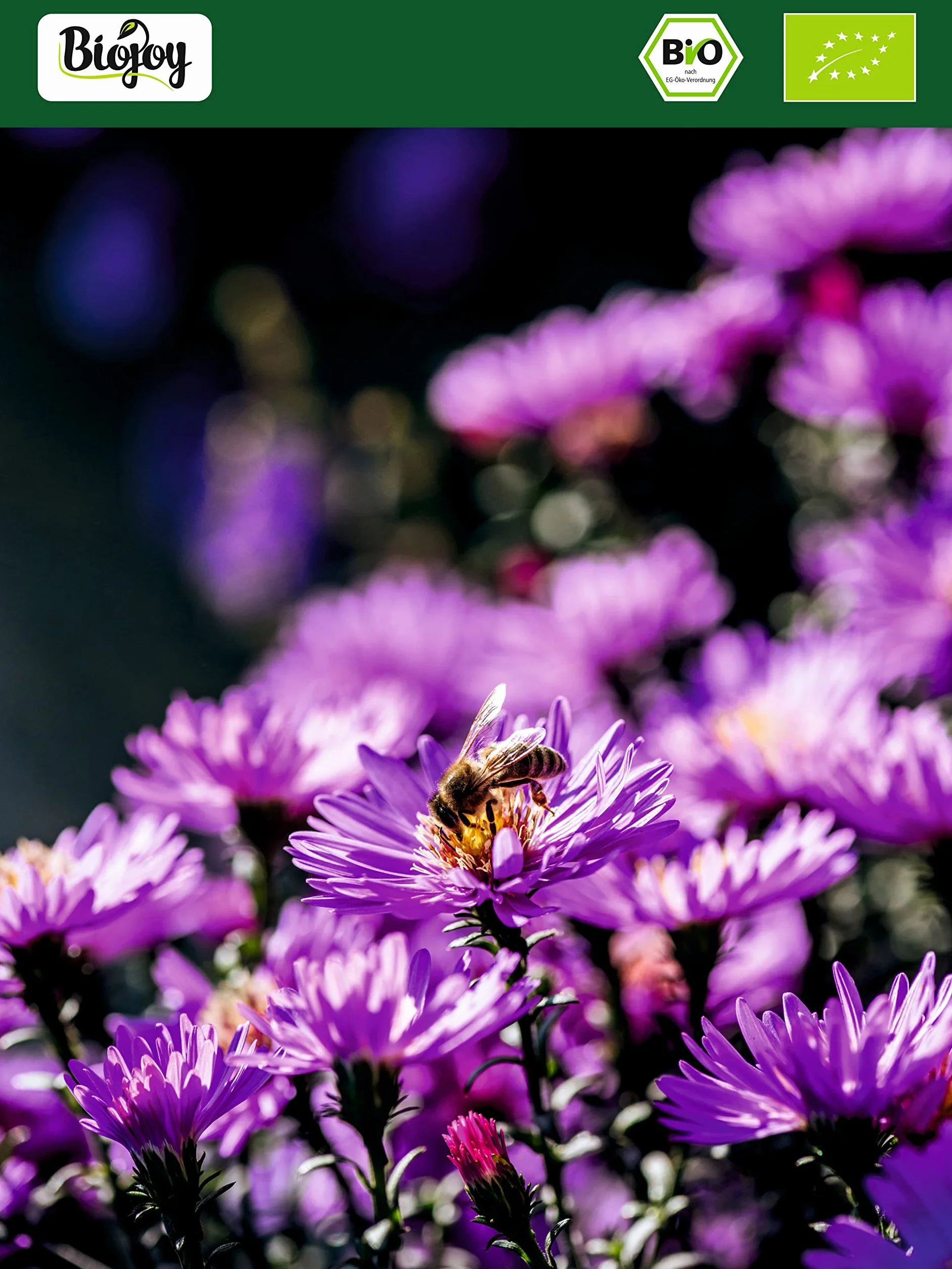 Biojoy Polen de Abeja Ecológico (500 g), Polen de Flores en Gránulos, Natural, Ideal para Comer