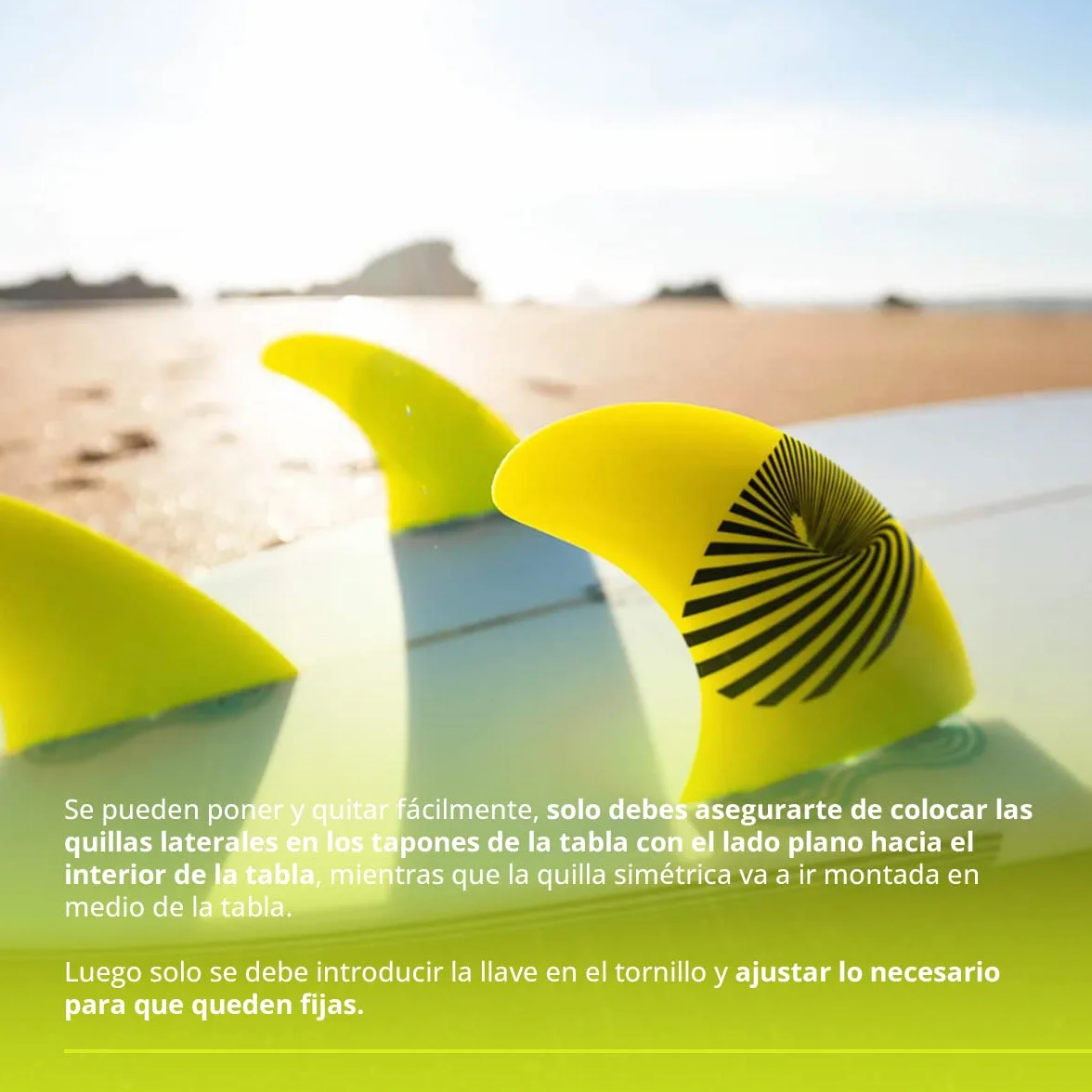 QUILLAS Surf de Fibra de Vidrio FCS Compatibles Pack Ecológico Talla A1 75-90 Kg