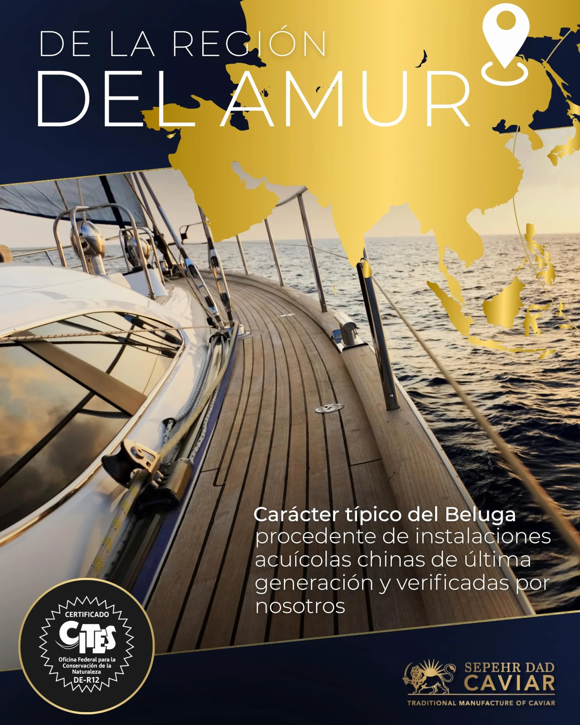 Sepehr Dad Caviar Beluga de l'Amour | Huevas de pescado clase A | cría NC | 30 gramos
