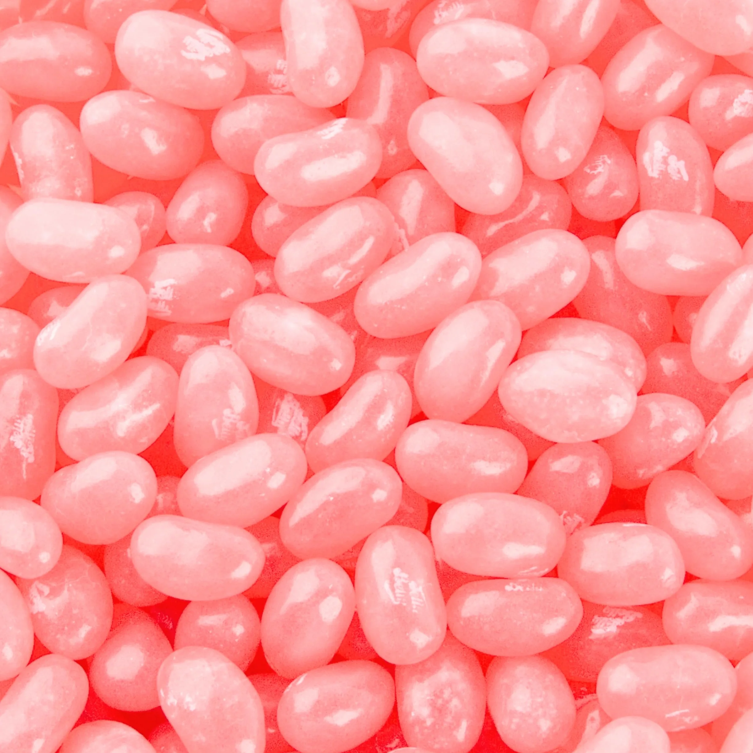JELLY BELLY Grageas Sabor Algodón de Azúcar 1KG