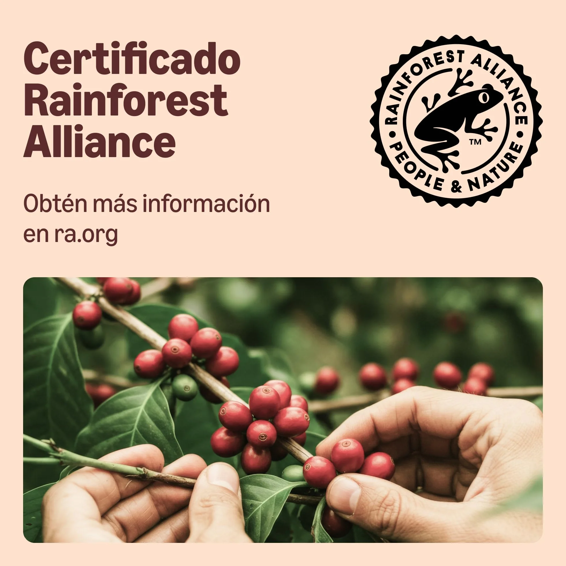 by Amazon Cápsulas De Café Lungo, en cápsulas compatibles con dolce gusto, 48 cápsulas (3 paquetes de 16)