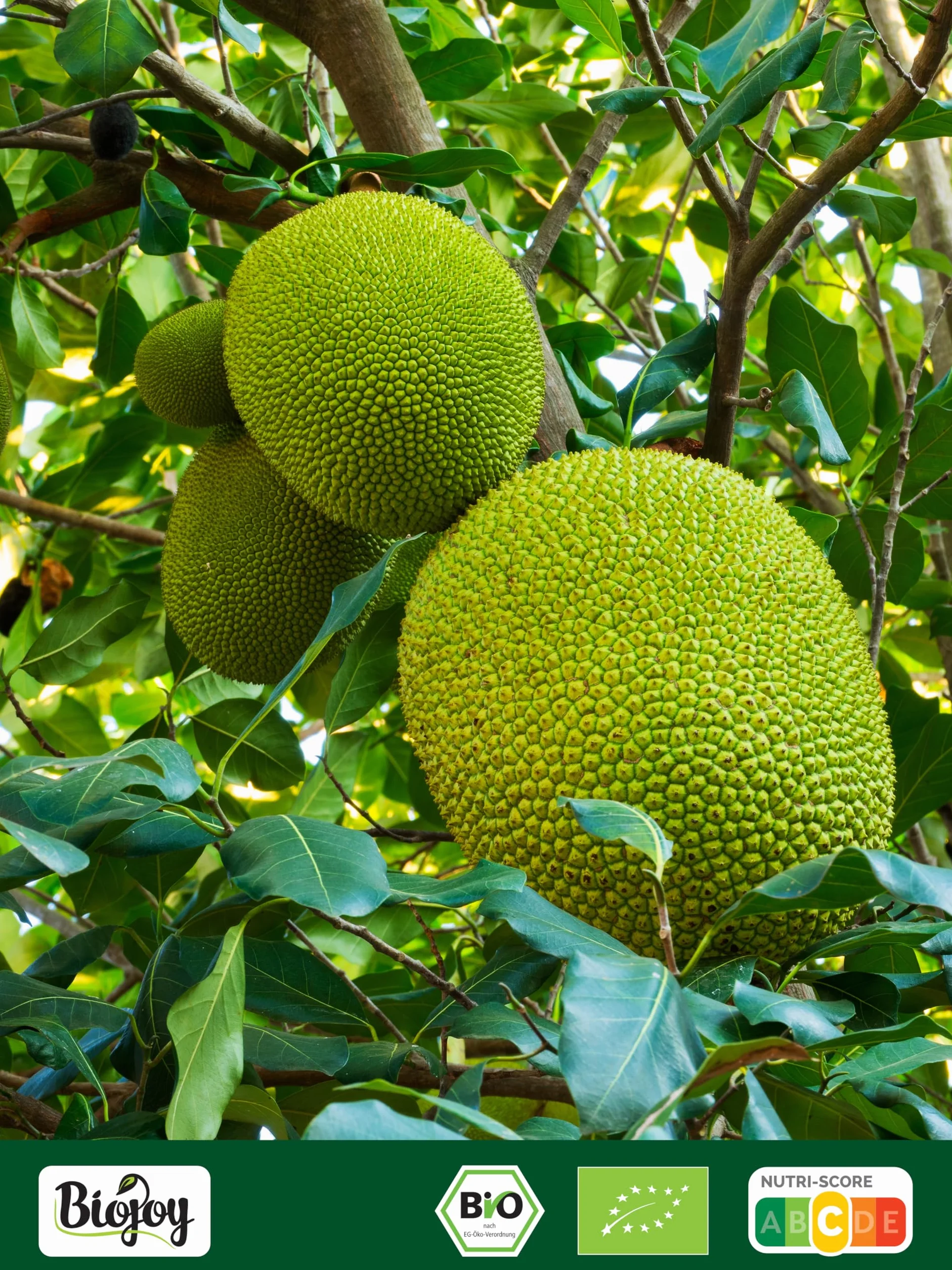 Biojoy Jackfruit deshidratado Ecológico 1 kg sin azúcar añadido