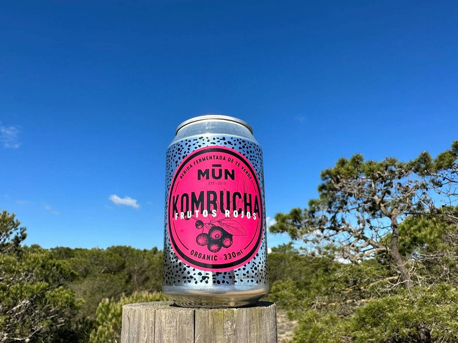 Mūn Ferments Té Kombucha Pack 12x330ml - Bebida Ecológica Con Probióticos - Té Kombucha Jengibre Y Limón-Sin Azúcar Y Baja En Calorías-Latas Libres De BPA-Infusión Fermentada Artesanal-Libre De Gluten