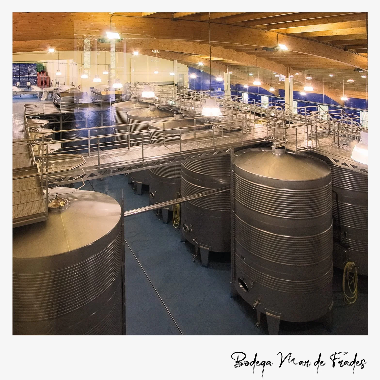 Mar De Frades Albariño - 75 cl
