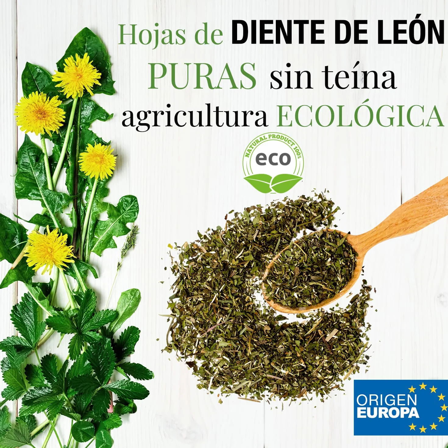 ORIGEENS Bio Diente de Leon Infusion 100g - Hojas de diente de leon secas - ​​Infusion drenante y diurética - Dandelion tea