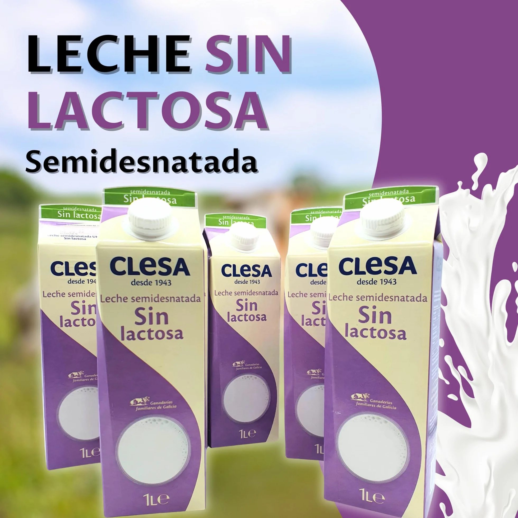 Leche Clesa SIN LACTOSA Semi Desnatada - 6 Bricks de 1 Litro - 100% Leche Gallega - Tapon Anti Goteo - 6 Litros Leche Sin Lactosa [CLESA]