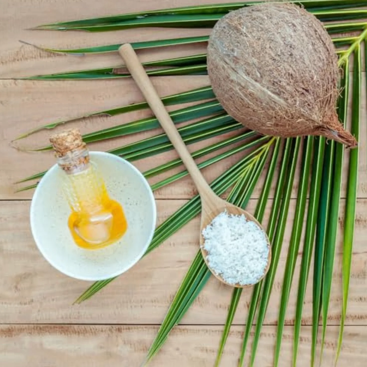 Leche de coco en polvo 1 kg Sin lactosa Keto Vegano Pack 2 x 500 gr