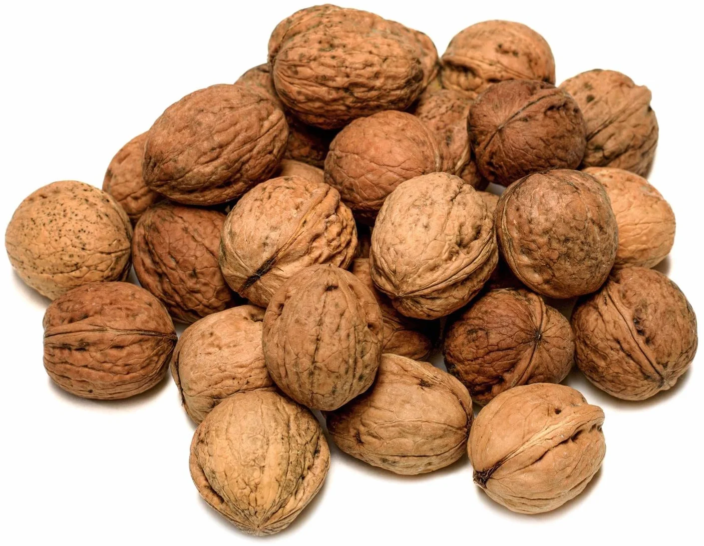 IGART FOOD & WOOD Nueces con Cáscara Polacas Naturales de la Última Cosecha Ricas en Omega-3 Frutos Secos Crudos Sin Tratar Sabor Intenso para una Dieta Saludable Snack Energético y Nutritivo, 15kg