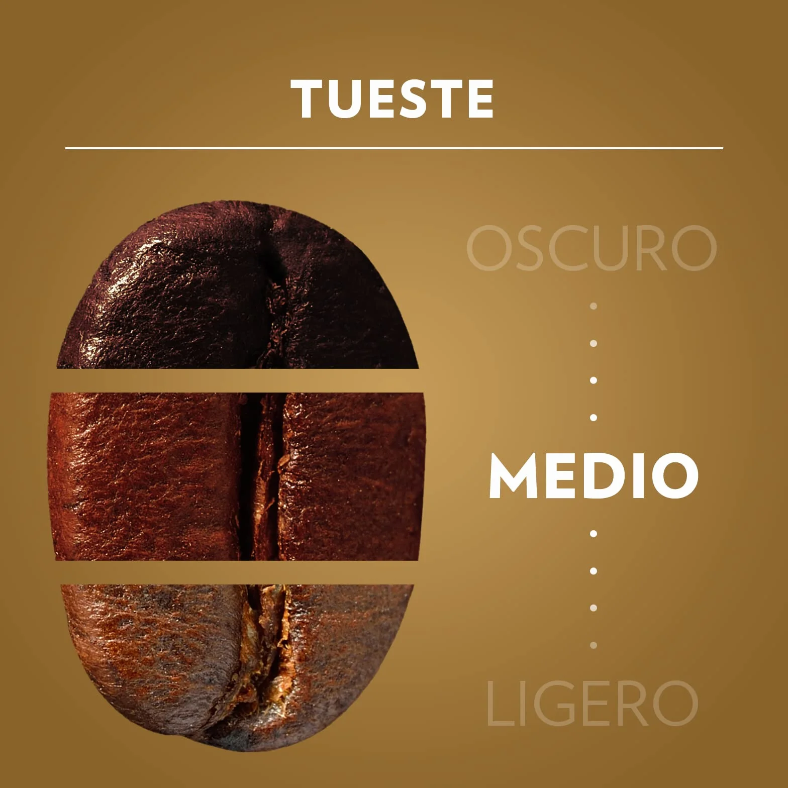Lavazza Qualità Oro Café en Grano 100% Arábica Intensidad 5 Tueste Medio 1 kg