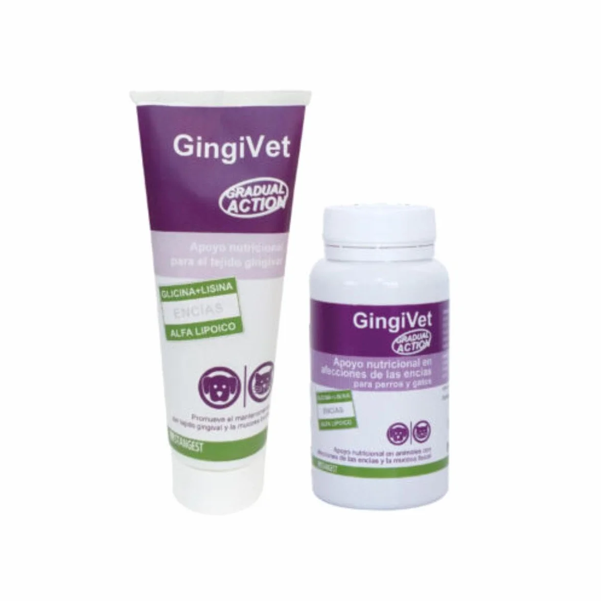 Gingivet Pasta 100Gr